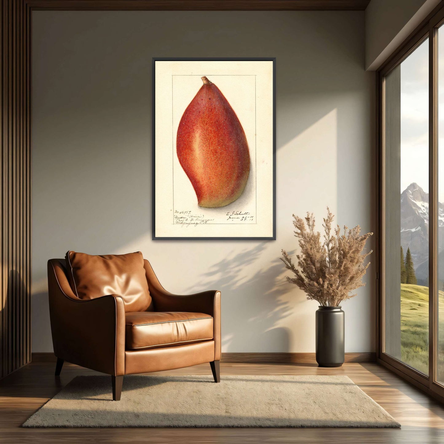 Red mango botanical illustration by Ellen Isham Schutt