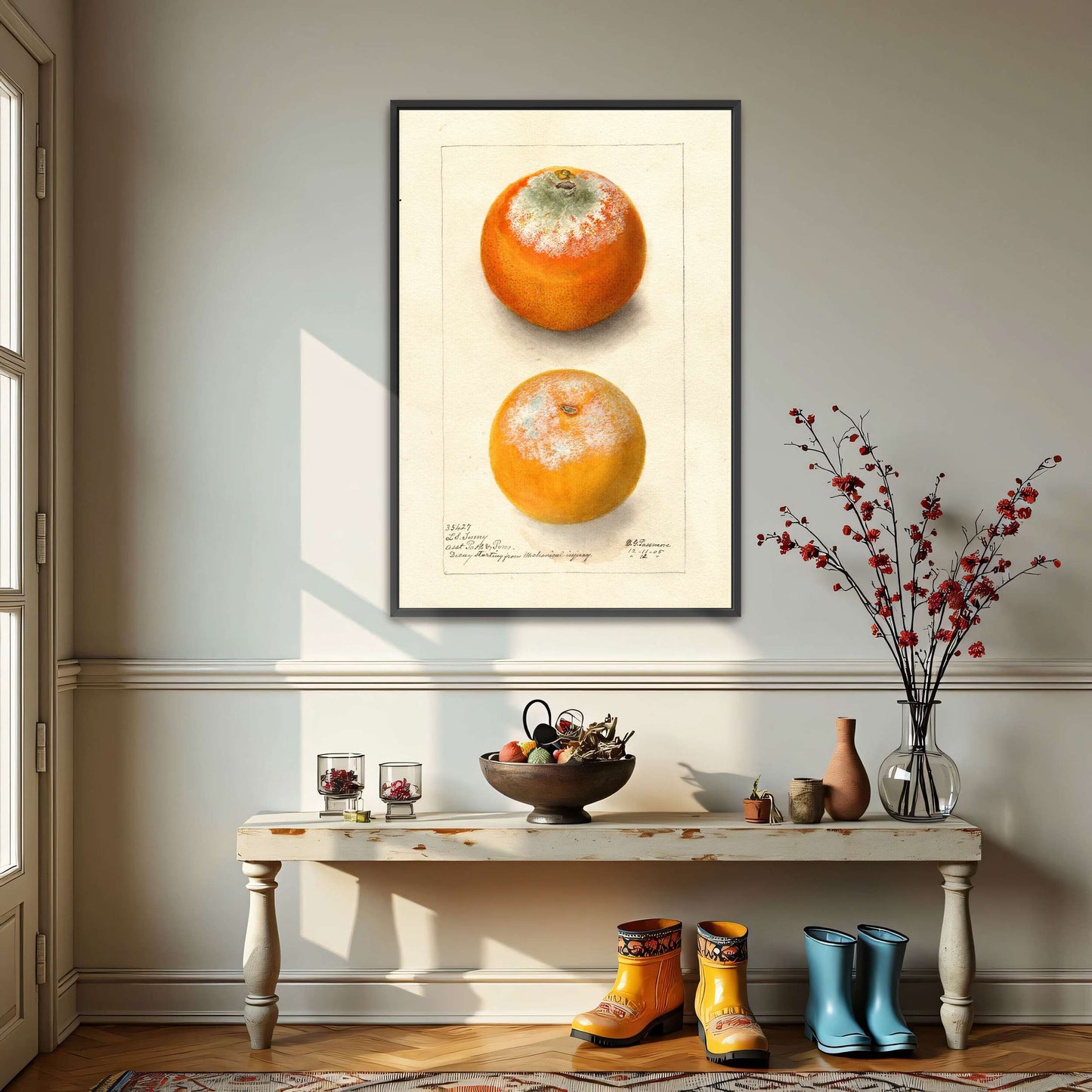Moldy oranges, botanical study by Deborah Griscom Passmore