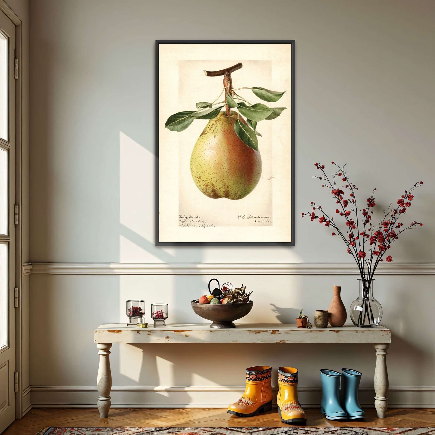 King Karl Pear Botanical Illustration by Royal Charles Steadman