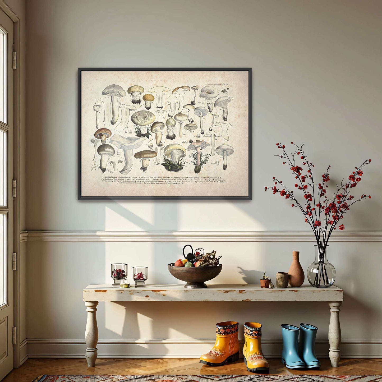 Mushroom illustration, botanical art by J. V. Krombholz