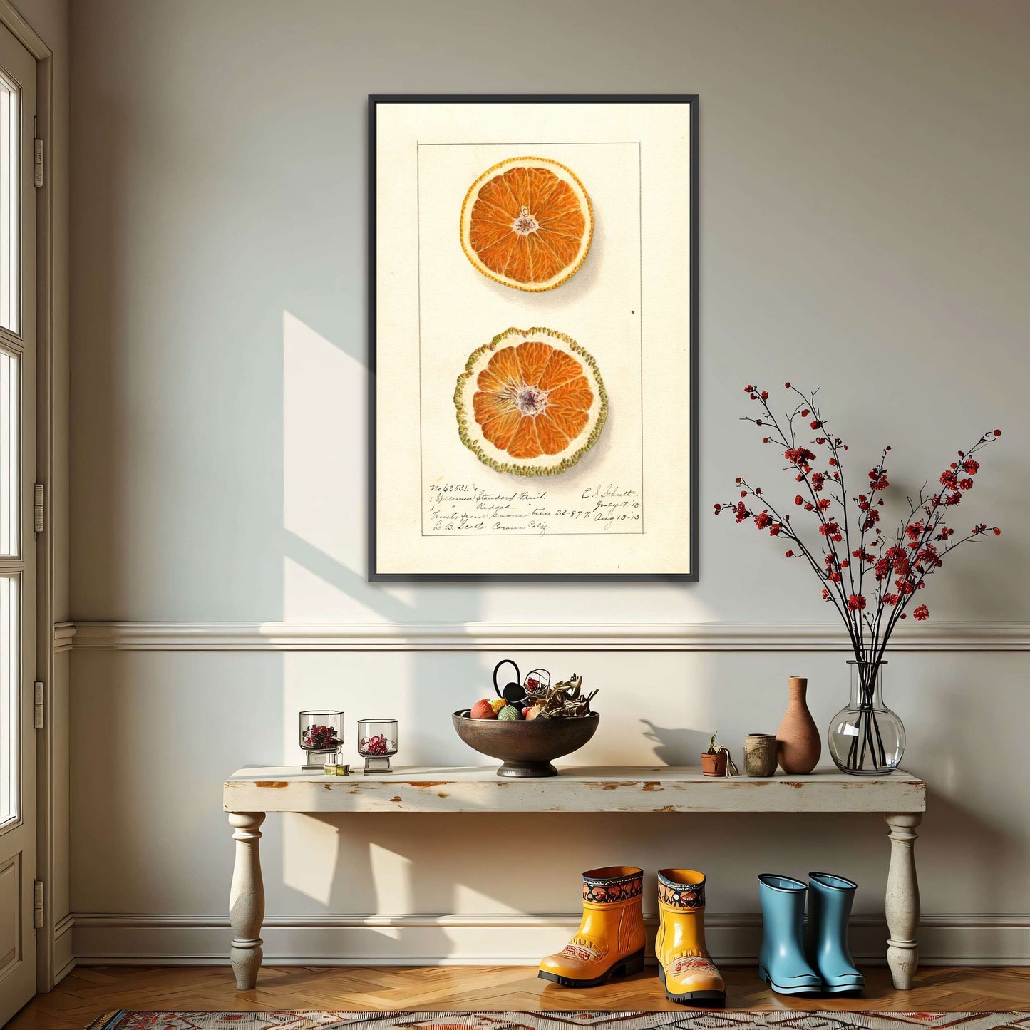 Orange slices, botanical illustration by Ellen Isham Schutt