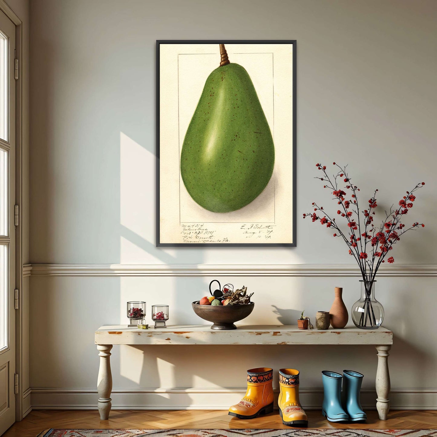 Botanical illustration of avocado by Ellen Isham Schutt