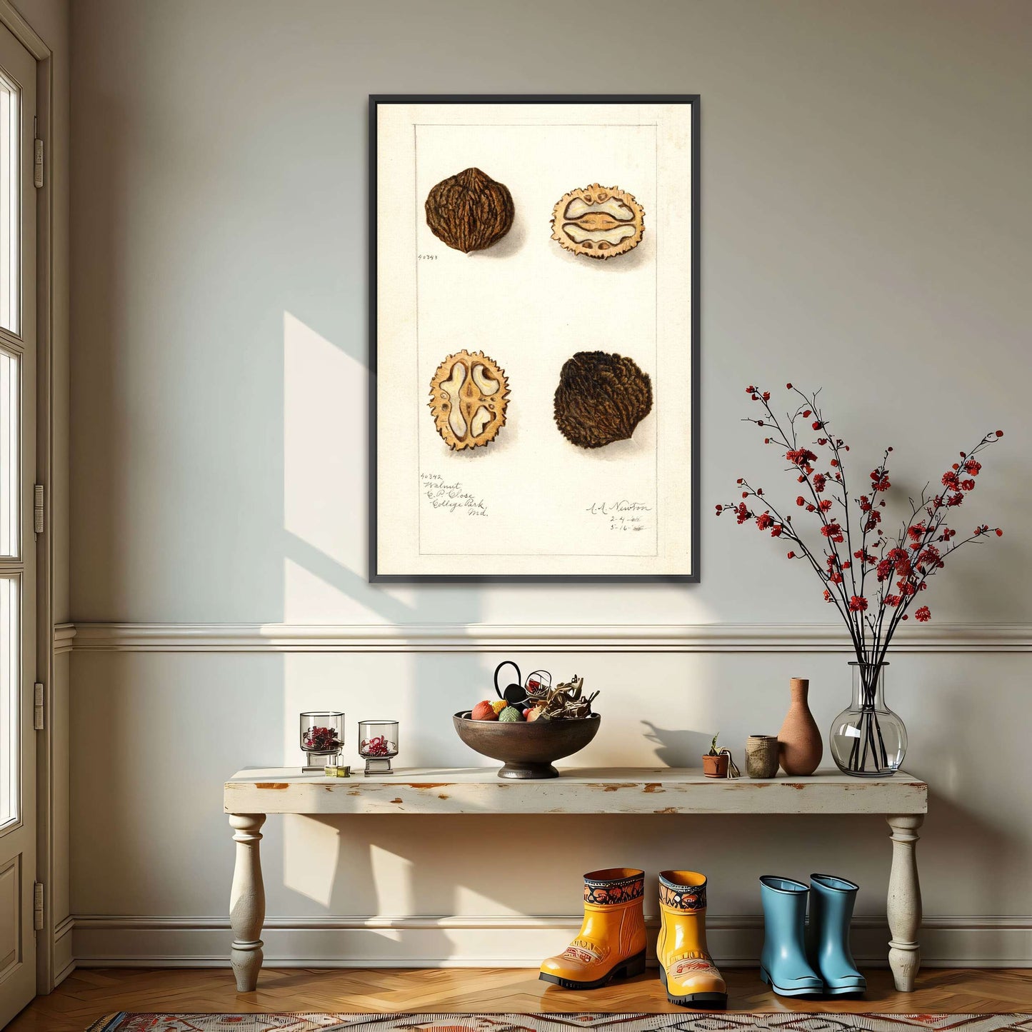 Walnut botanical illustration by Amanda Almira Newton