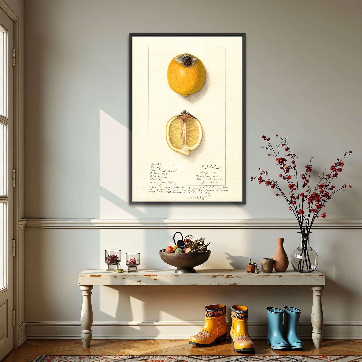 Lemon with Mucor by Ellen Isham Schutt
