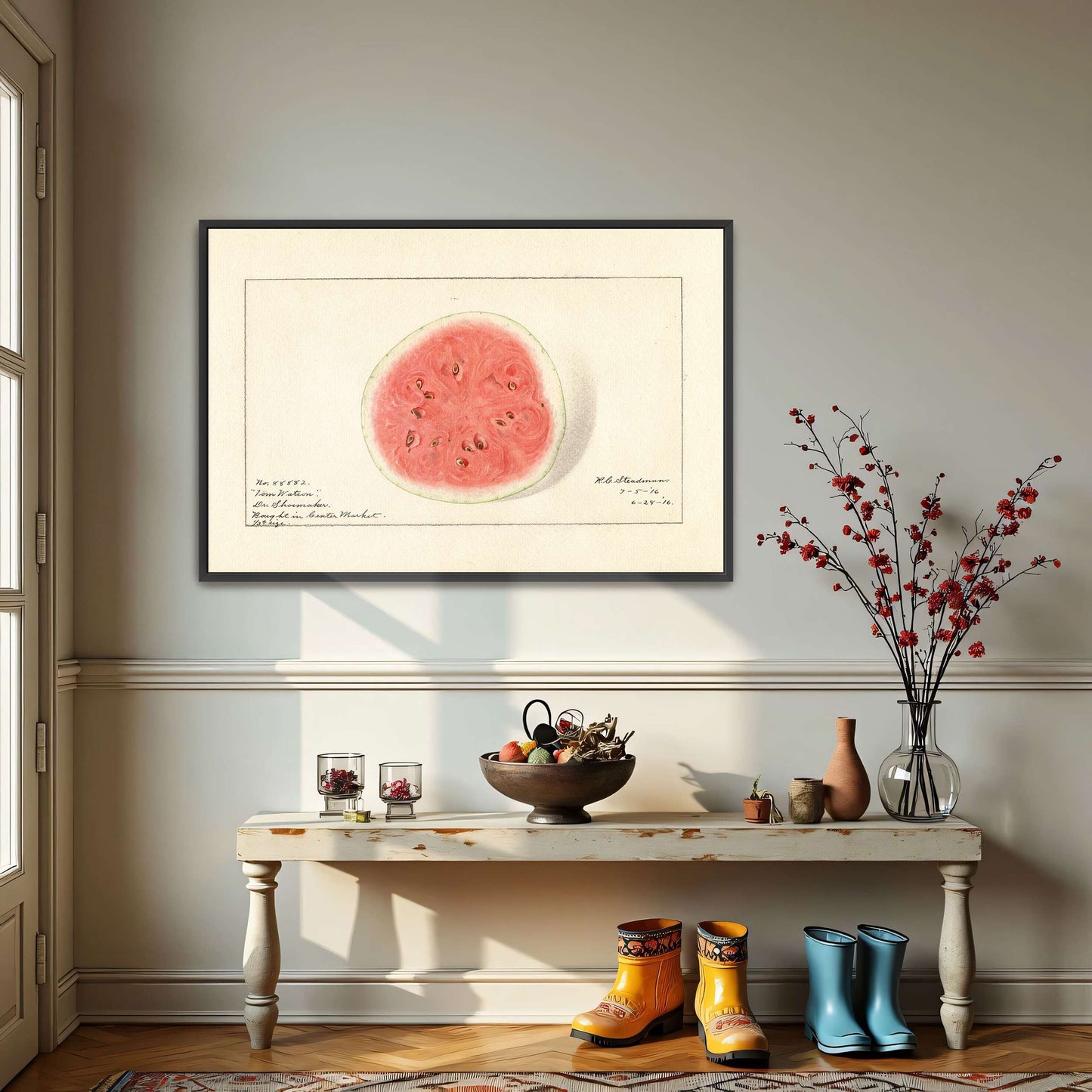 Watermelon half, botanical illustration by Royal Charles Steadman
