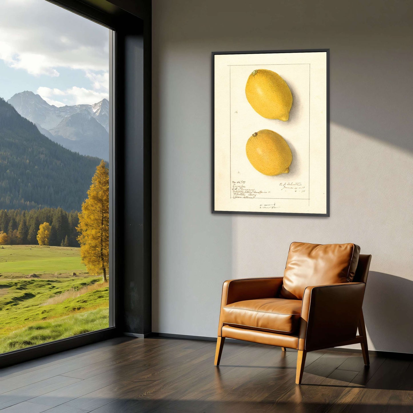 Two Lemons, Botanical Illustration by Ellen Isham Schutt