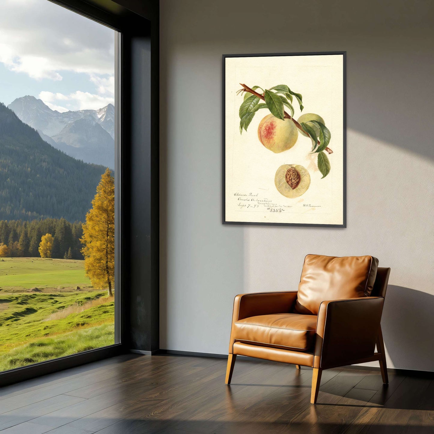 Chinese Peach Botanical Illustration by Deborah Griscom Passmore
