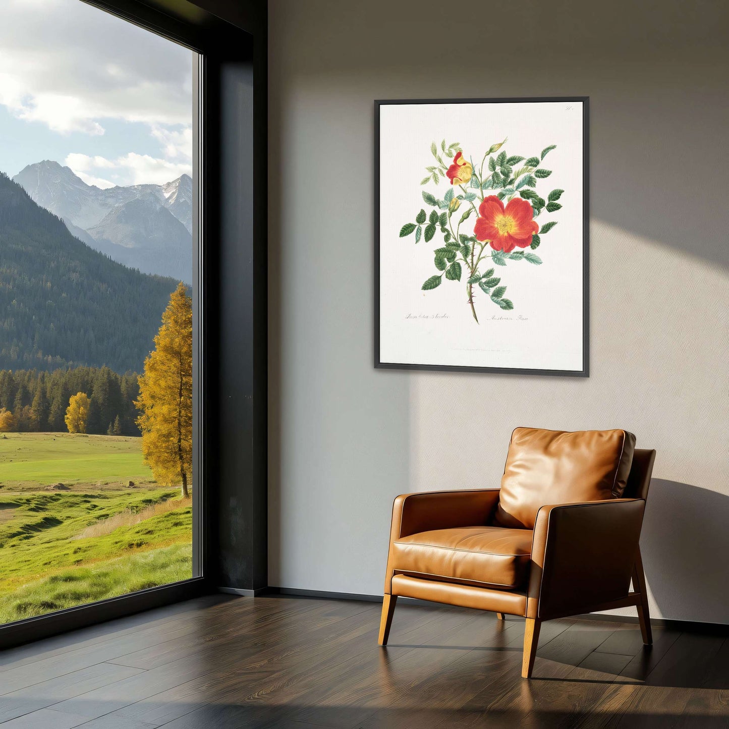 Austrian Rose botanical illustration by Mary Lawrance