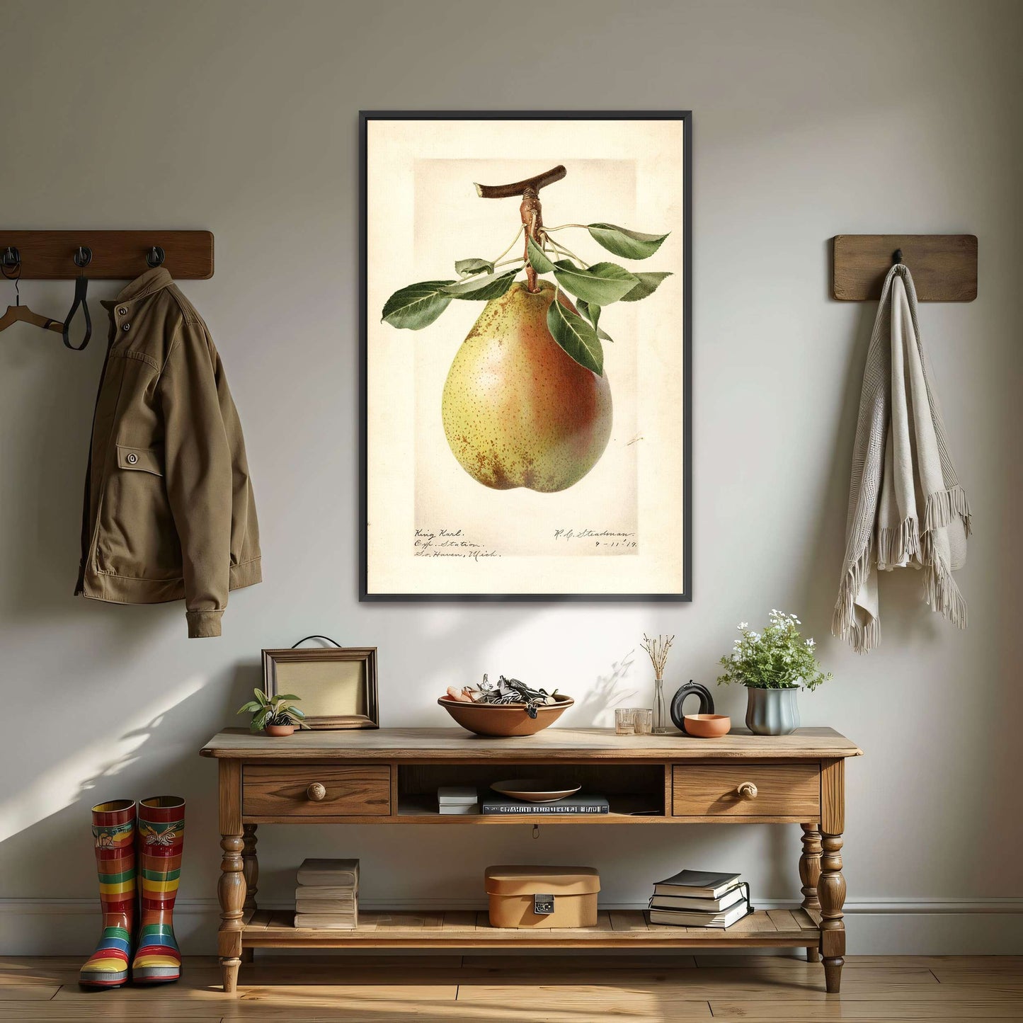 King Karl Pear Botanical Illustration by Royal Charles Steadman