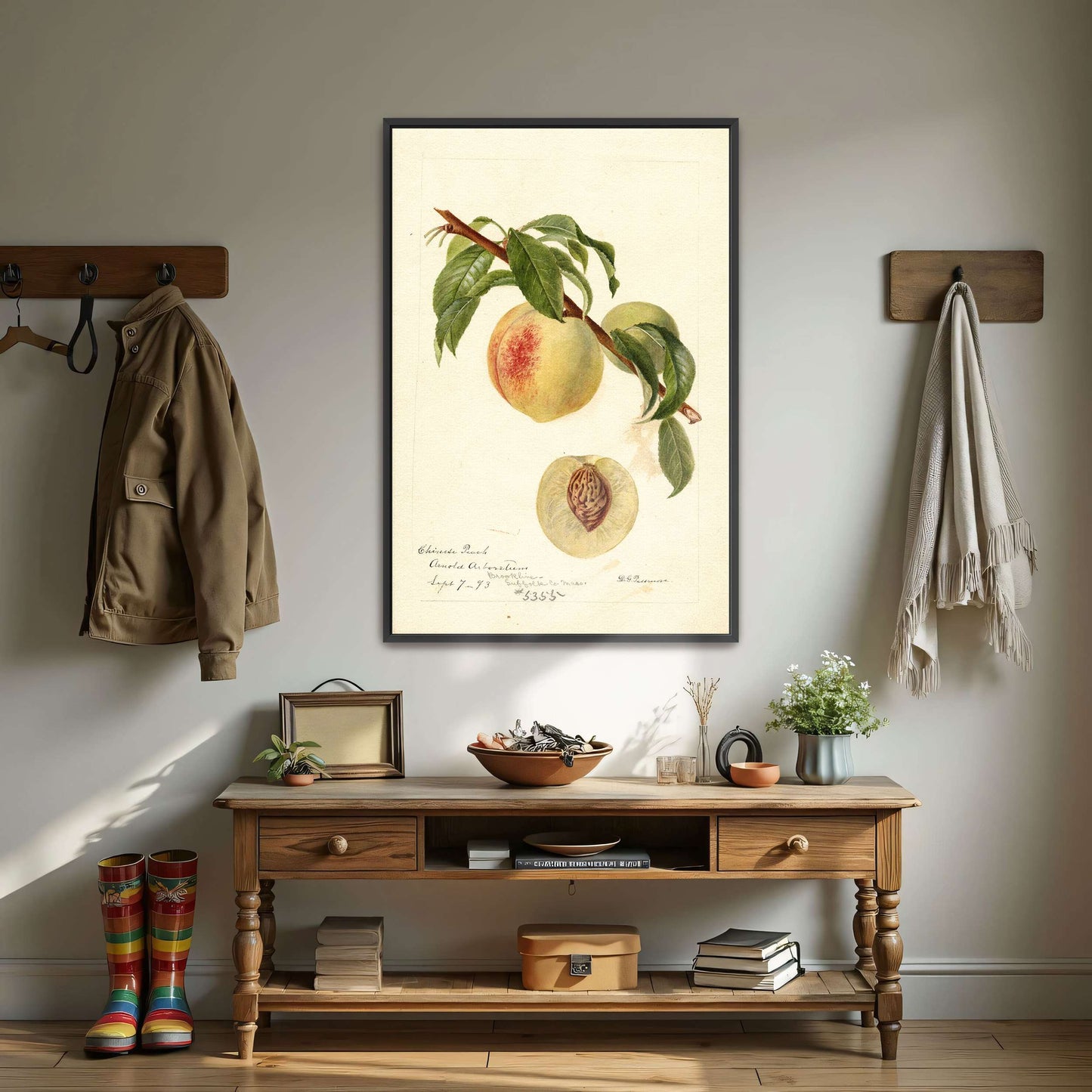 Chinese Peach Botanical Illustration by Deborah Griscom Passmore