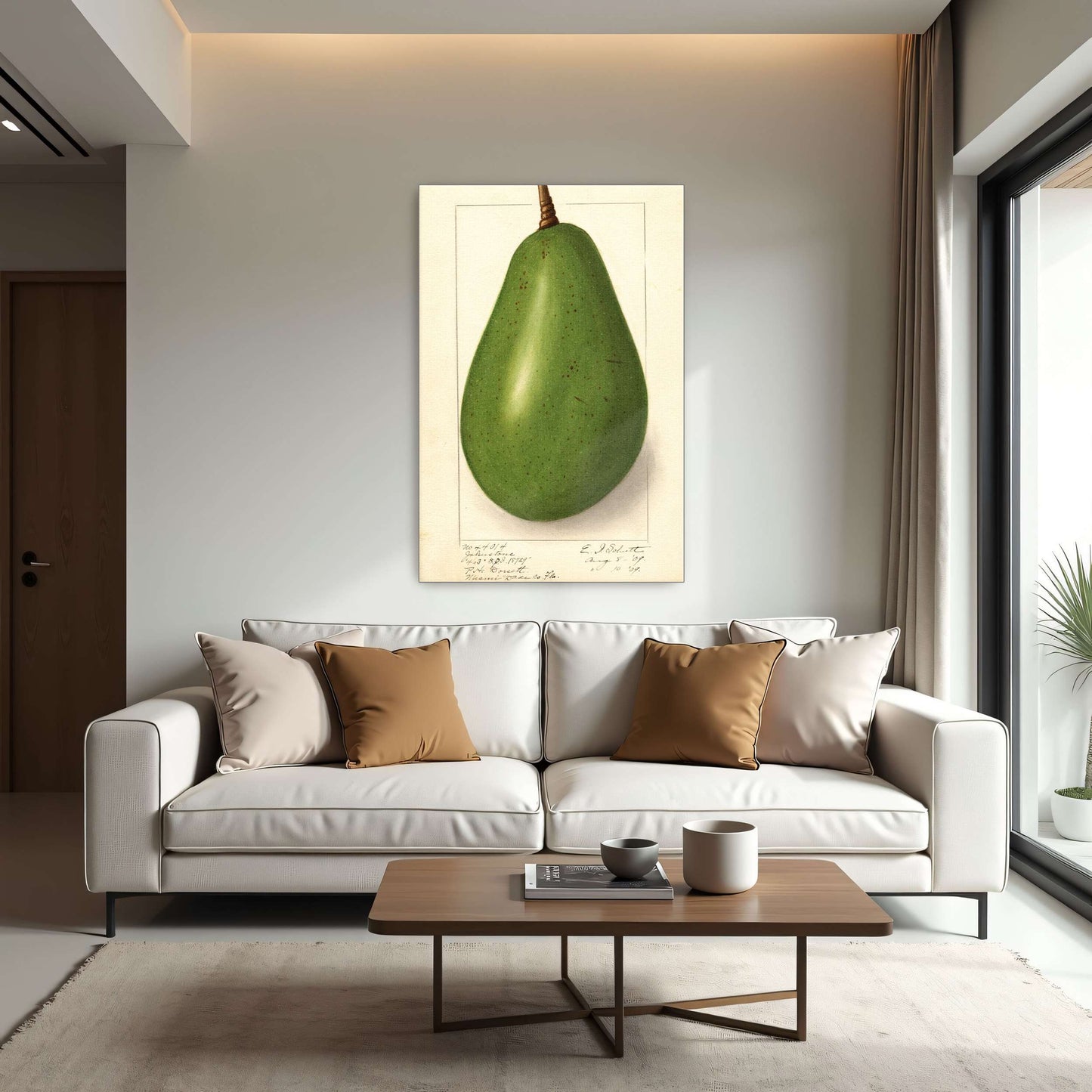 Botanical illustration of avocado by Ellen Isham Schutt