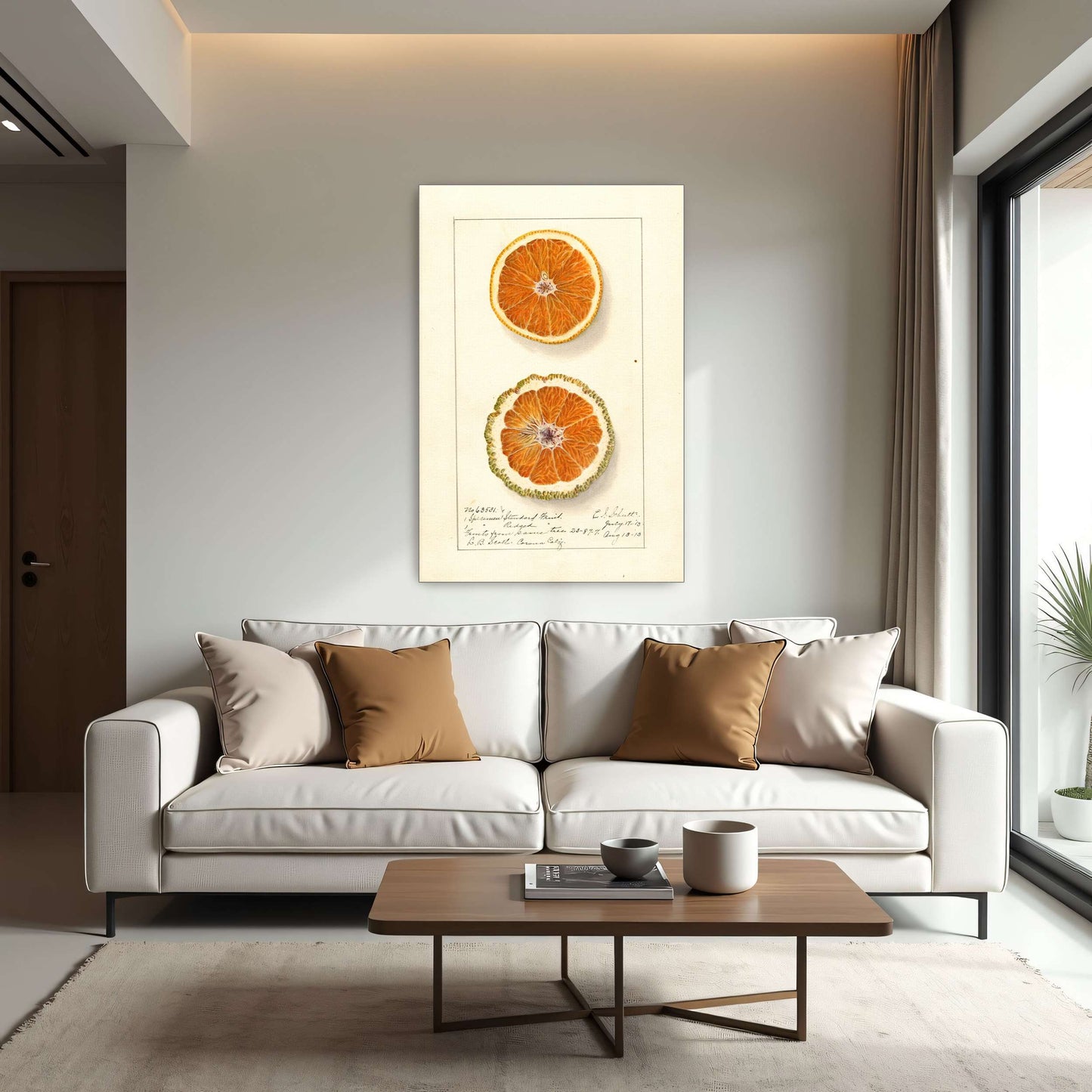 Orange slices, botanical illustration by Ellen Isham Schutt