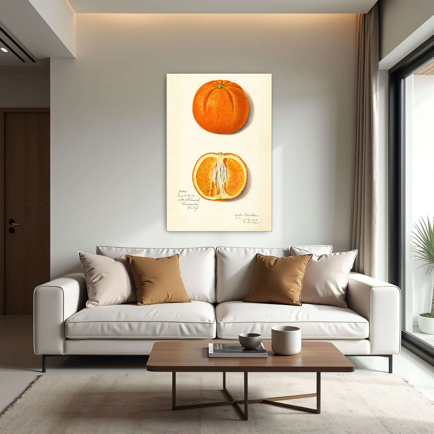 Orange fruit watercolor painting by Amanda Almira Newton