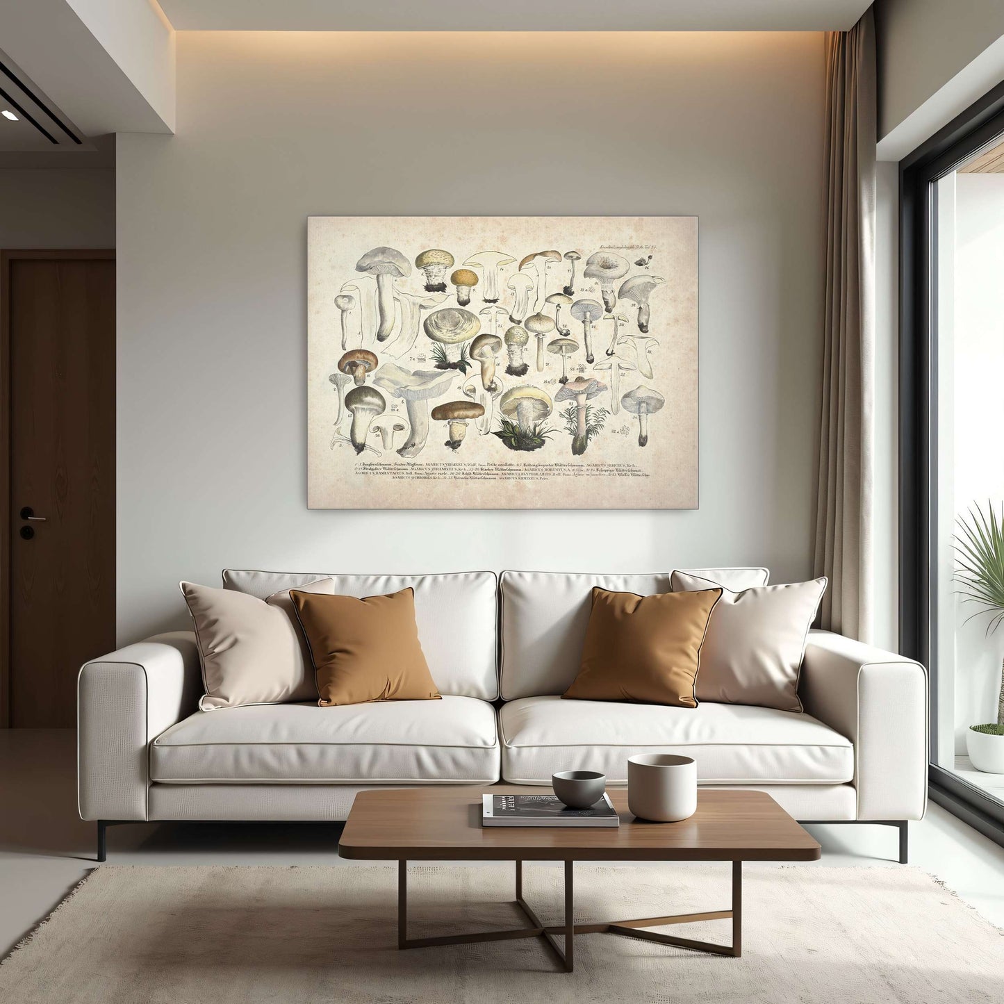 Mushroom illustration, botanical art by J. V. Krombholz