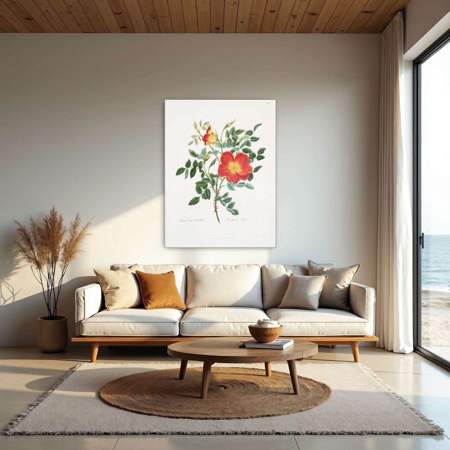 Austrian Rose botanical illustration by Mary Lawrance