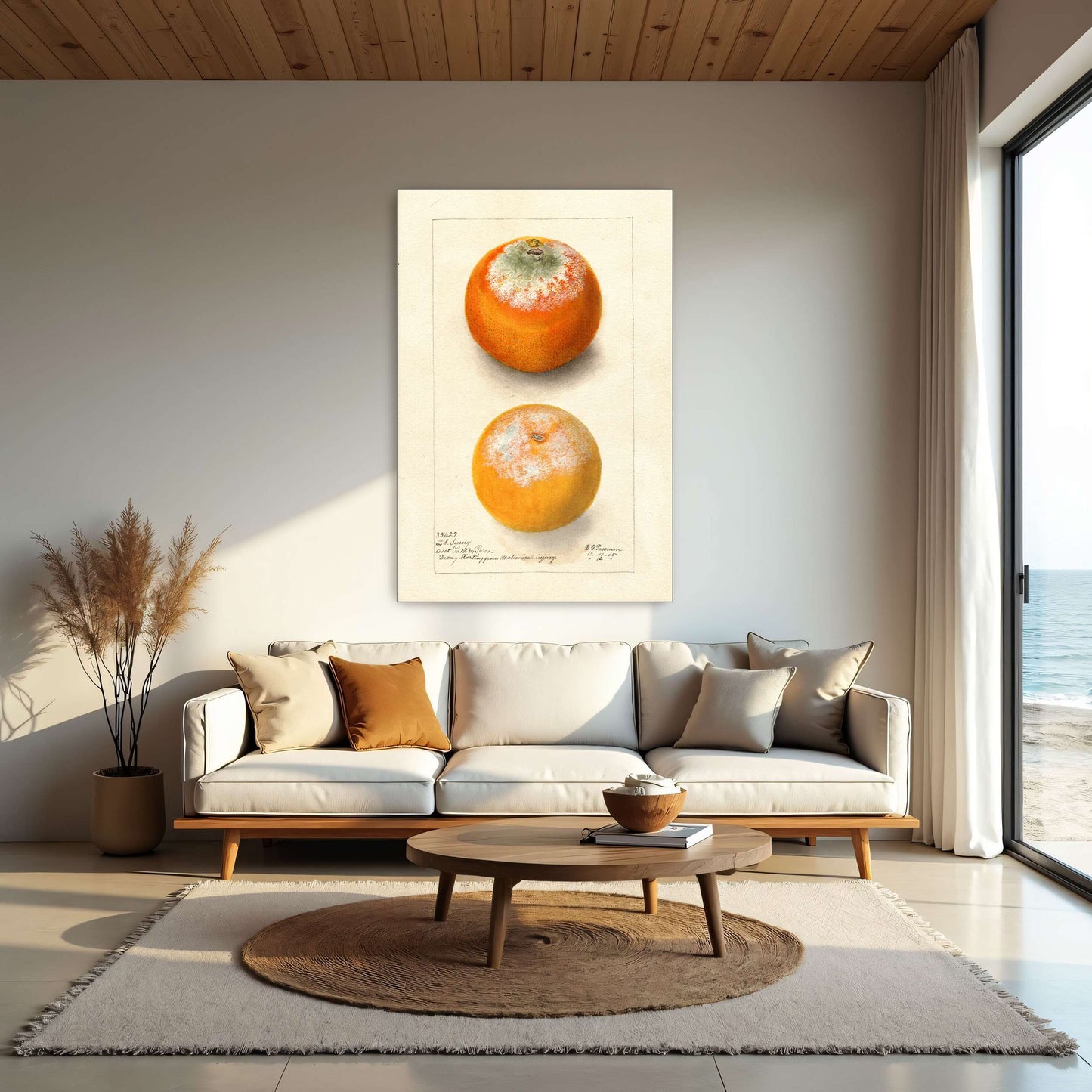 Moldy oranges, botanical study by Deborah Griscom Passmore