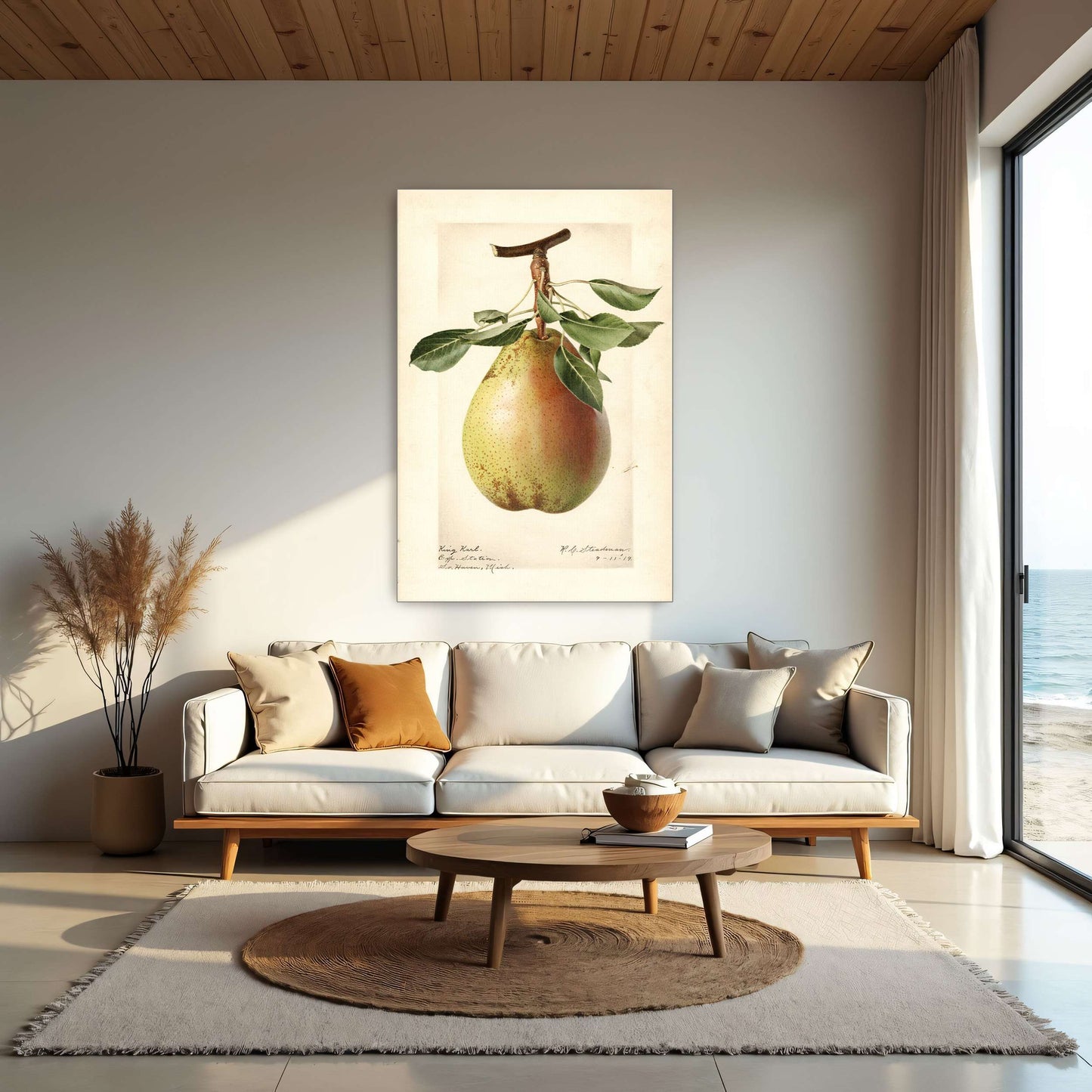 King Karl Pear Botanical Illustration by Royal Charles Steadman