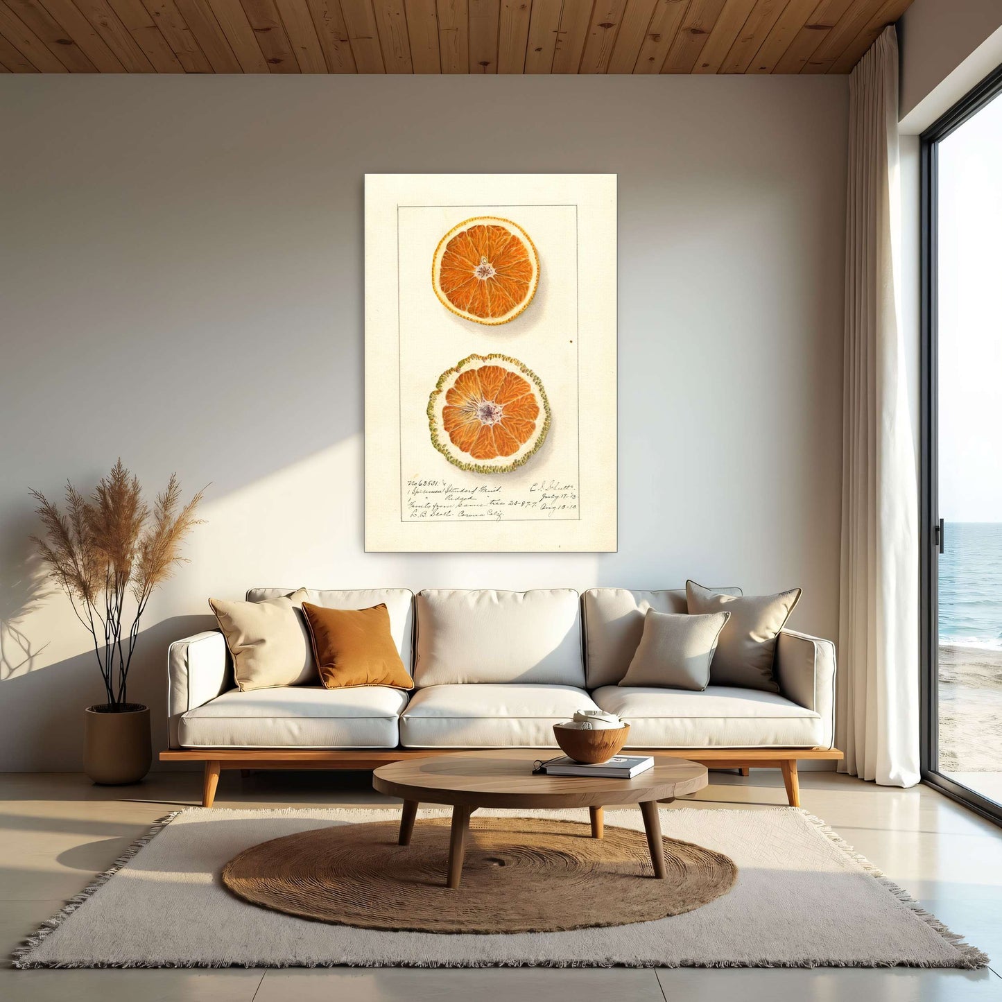 Orange slices, botanical illustration by Ellen Isham Schutt