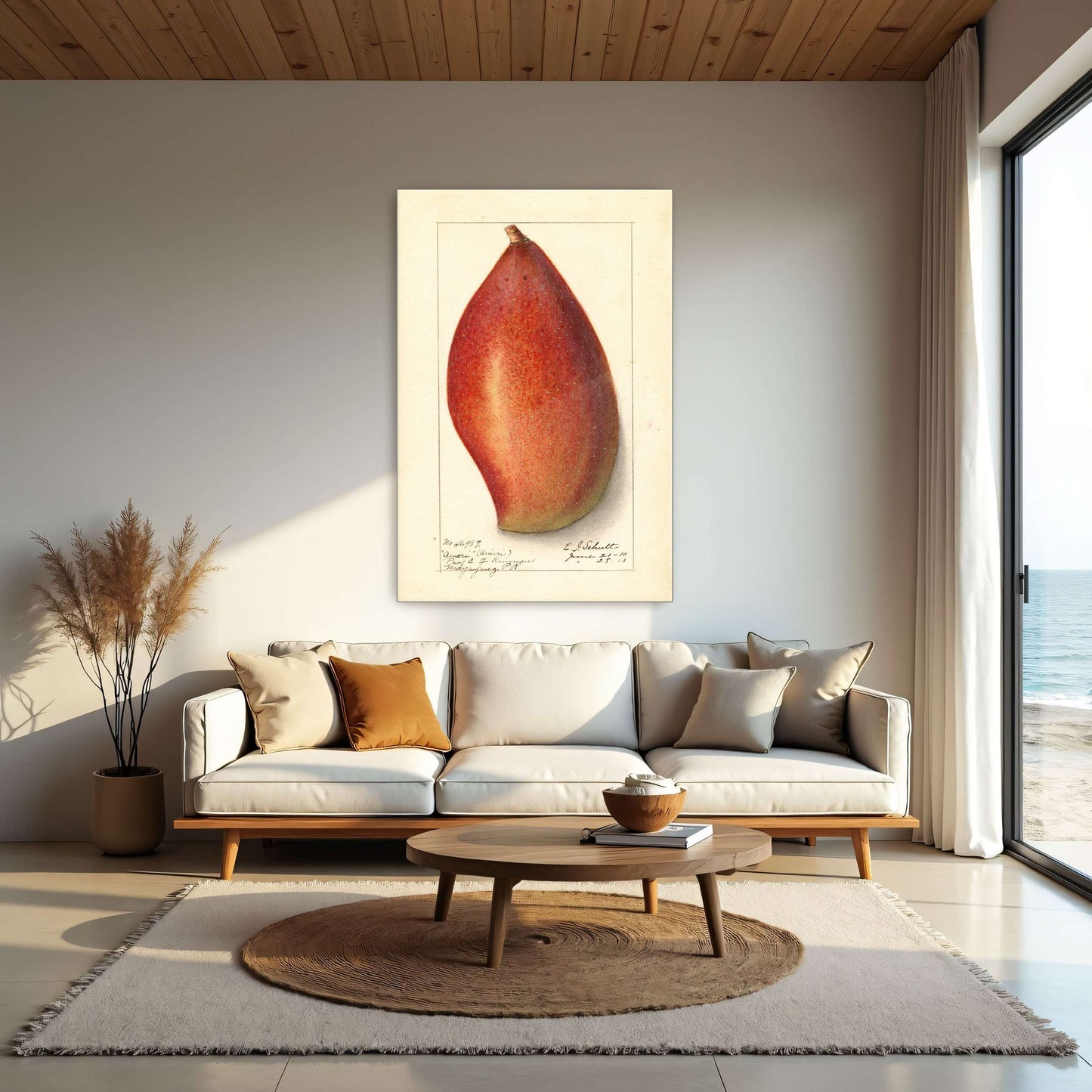 Red mango botanical illustration by Ellen Isham Schutt