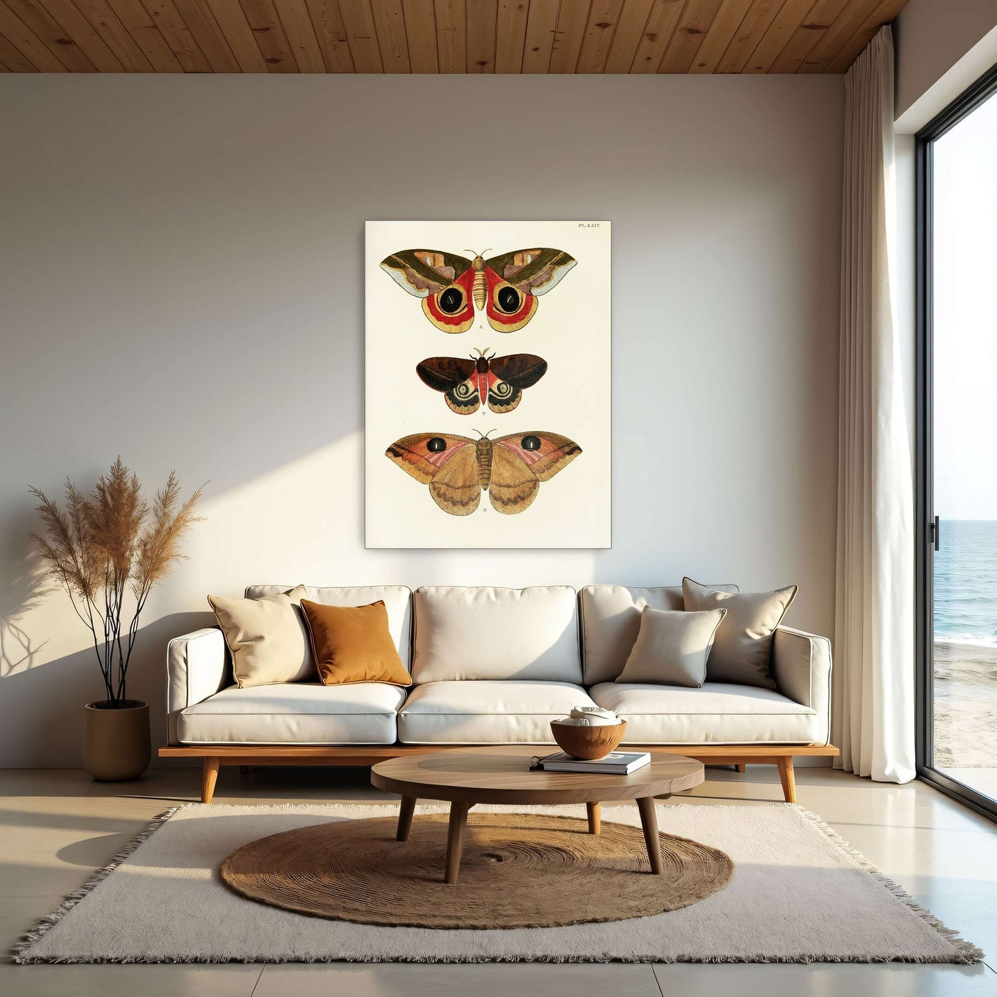 Three butterfly specimens on white background by Pieter Cramer