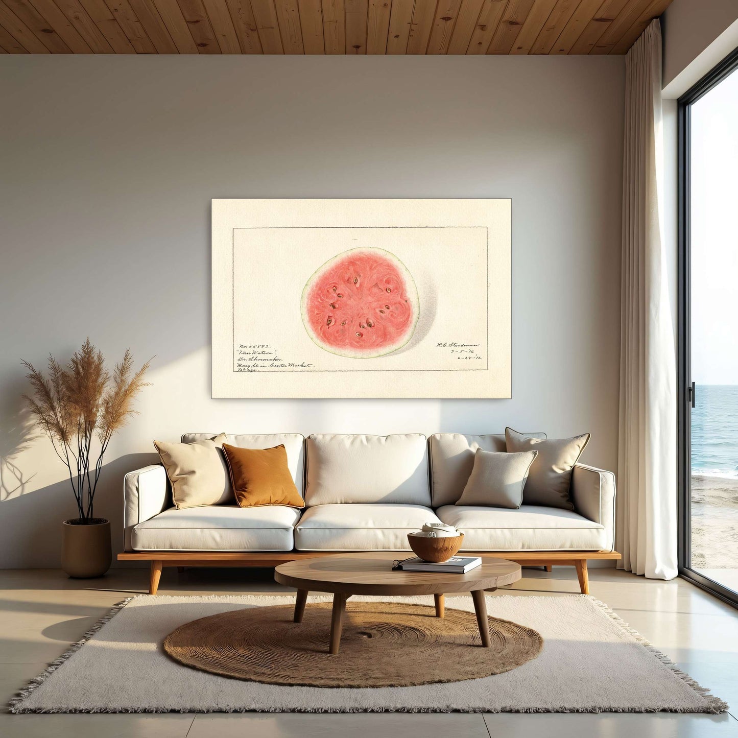 Watermelon half, botanical illustration by Royal Charles Steadman