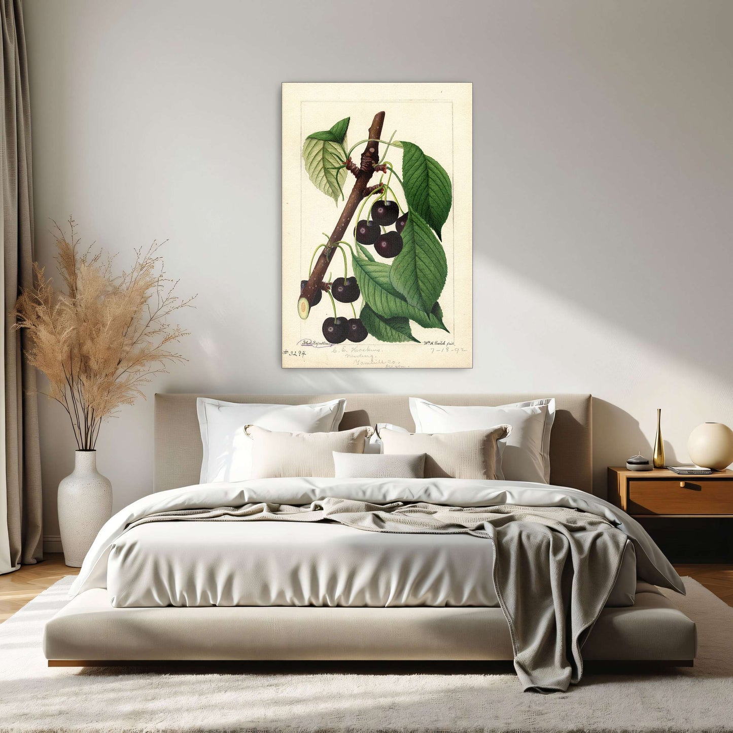 Black Republican Cherries by William Henry Prestele