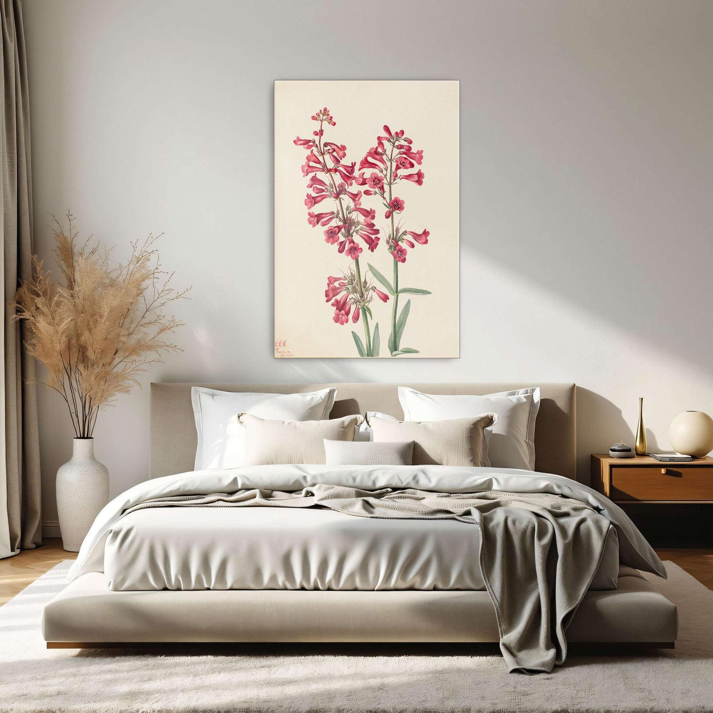 Pink wildflowers botanical art by Mary Vaux Walcott
