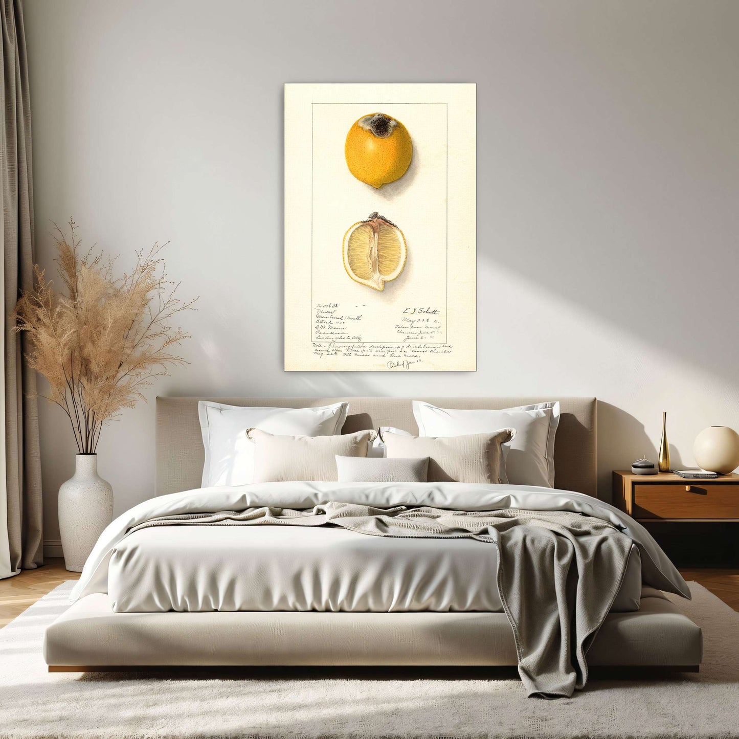 Lemon with Mucor by Ellen Isham Schutt