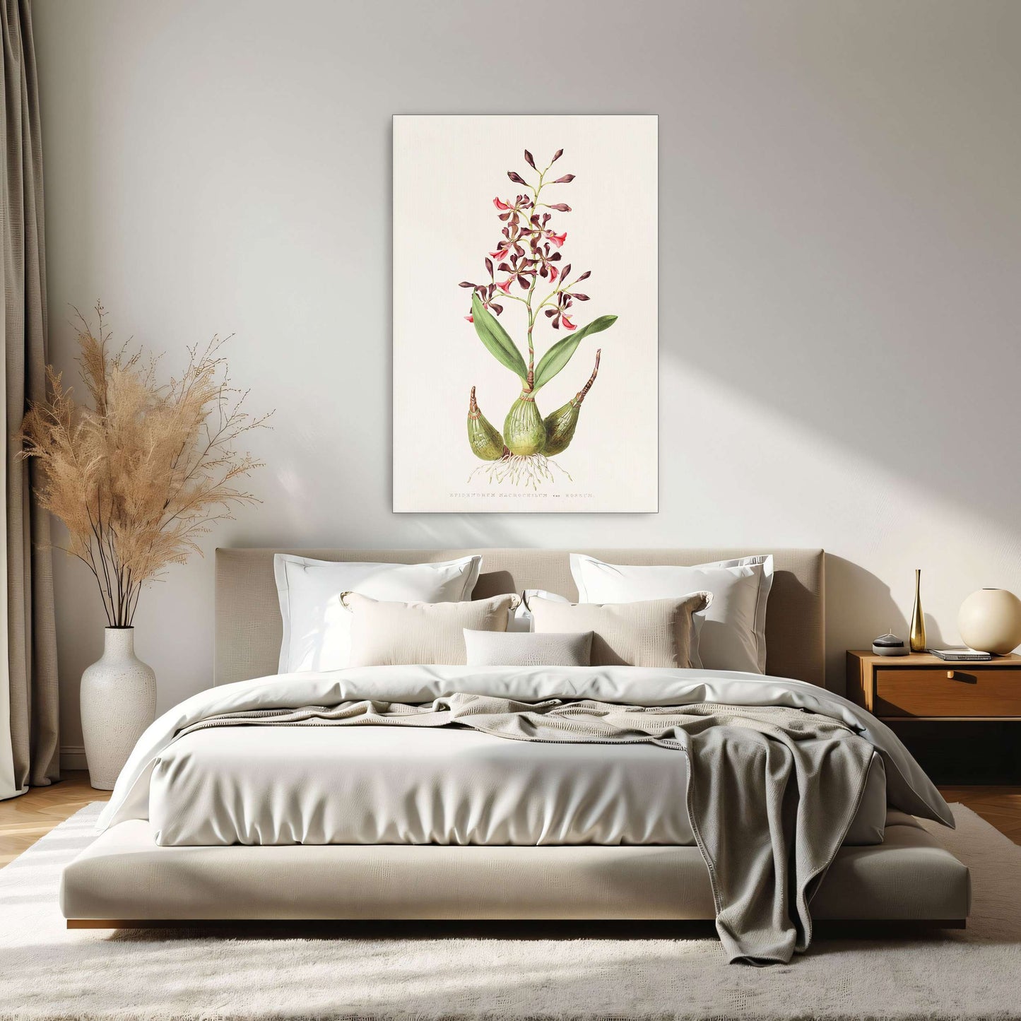 Orchid botanical illustration by James Bateman