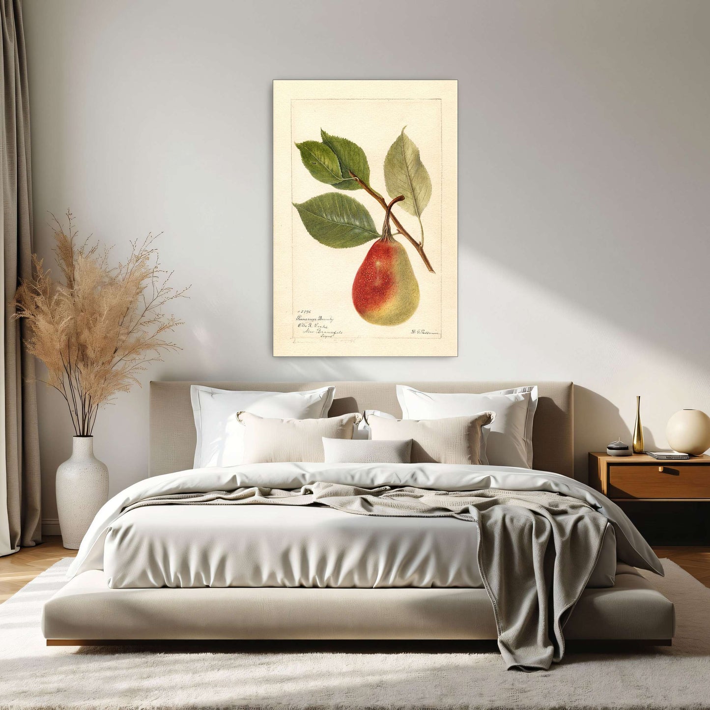 Summer Beauty pear watercolor by Deborah Griscom Passmore