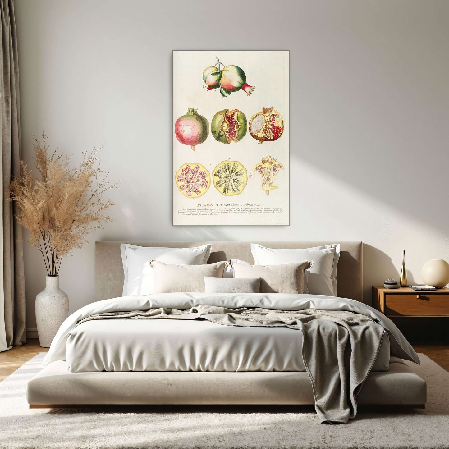 Pomegranate botanical illustration by Georg Dionysius Ehret