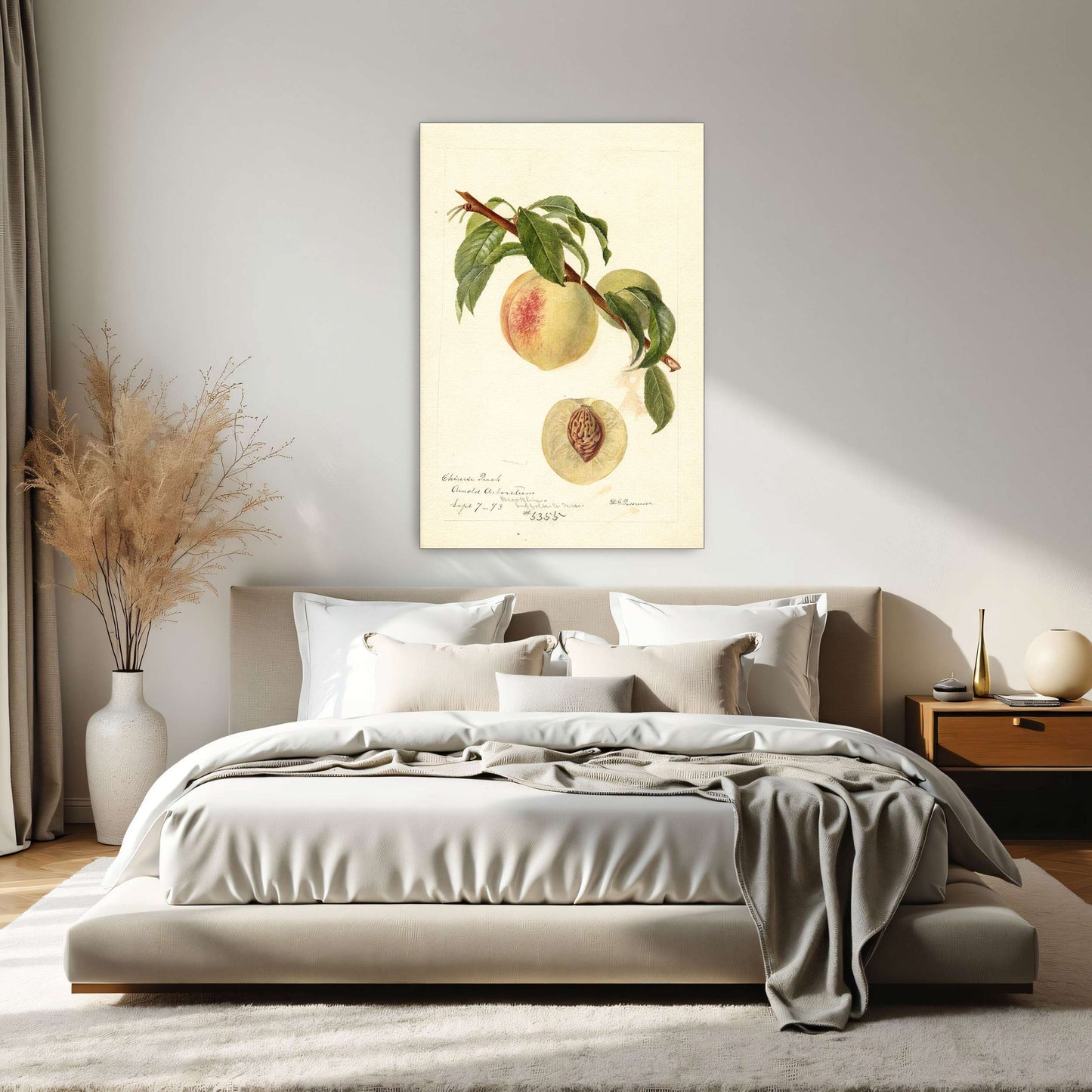 Chinese Peach Botanical Illustration by Deborah Griscom Passmore