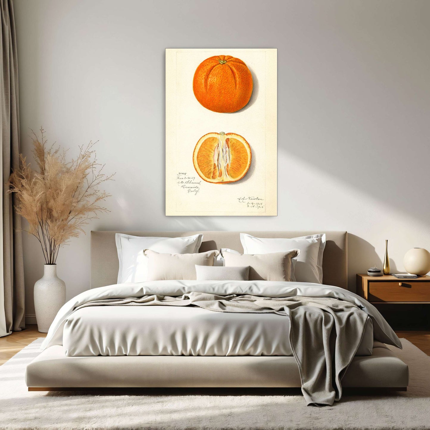 Orange fruit watercolor painting by Amanda Almira Newton