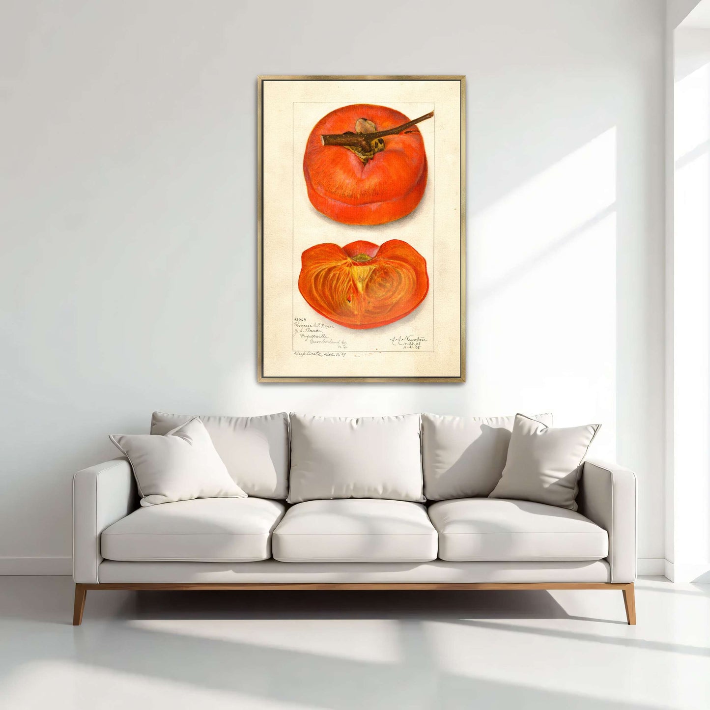 Watercolor painting of persimmon by Amanda Almira Newton