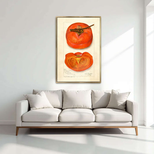 Watercolor painting of persimmon by Amanda Almira Newton