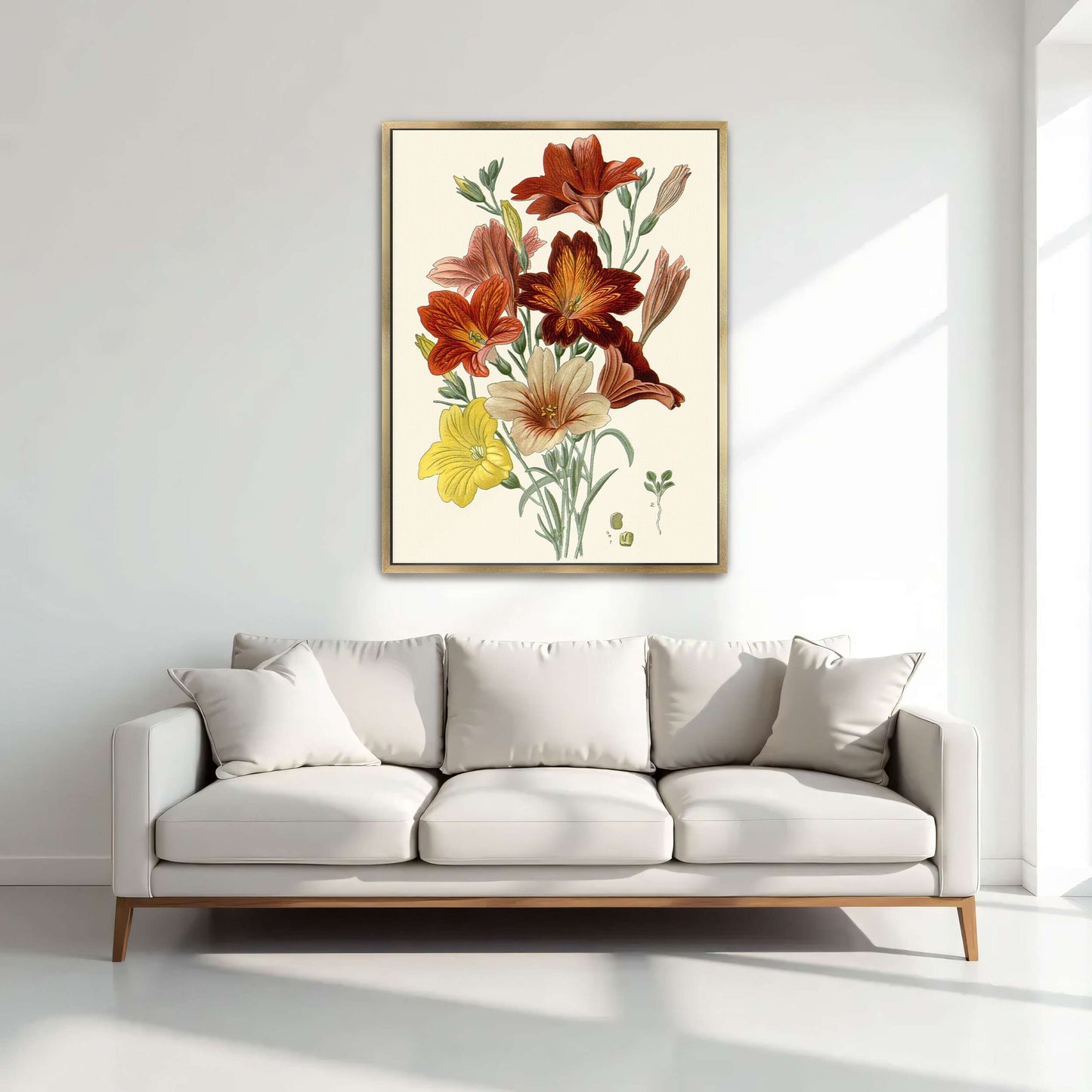 Botanical illustration of flowers by Edward Step