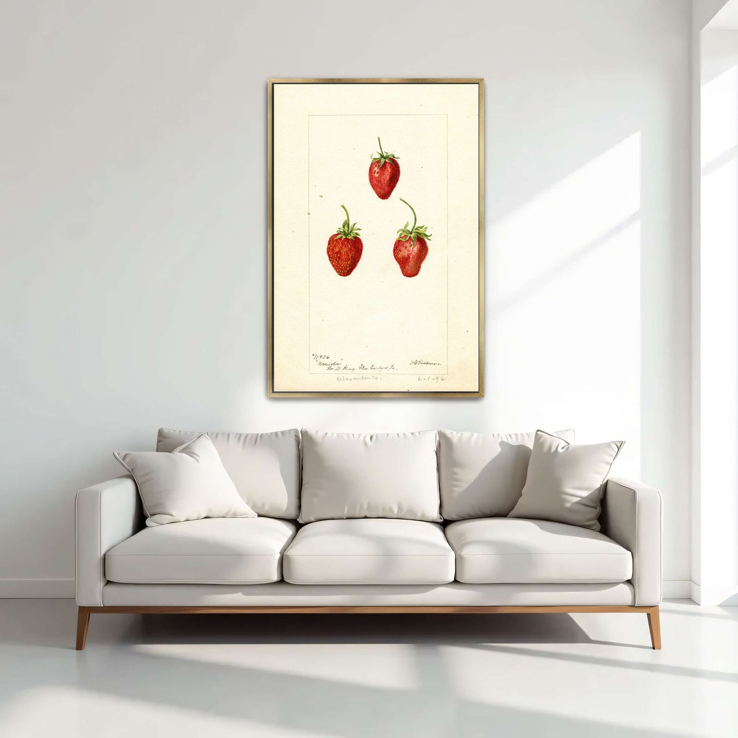 Three Strawberries Watercolor by Deborah Griscom Passmore