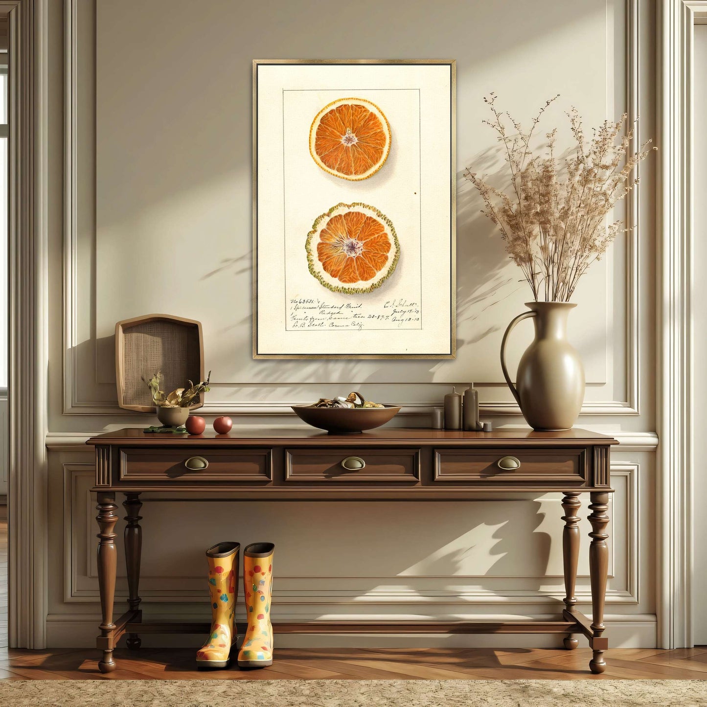 Orange slices, botanical illustration by Ellen Isham Schutt