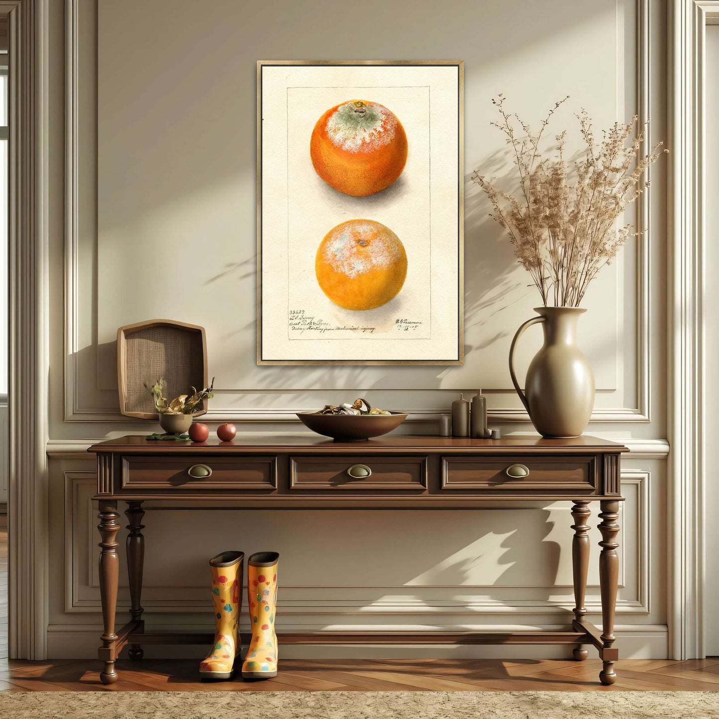 Moldy oranges, botanical study by Deborah Griscom Passmore