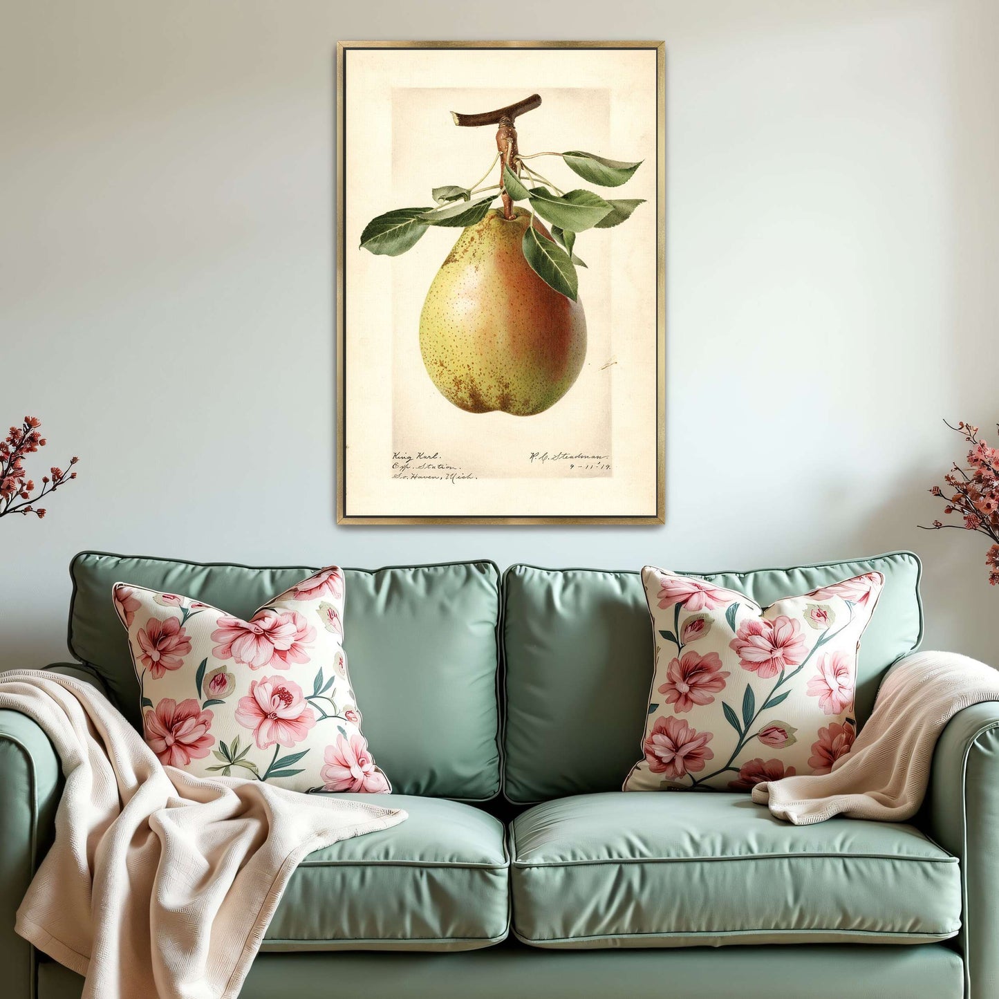 King Karl Pear Botanical Illustration by Royal Charles Steadman