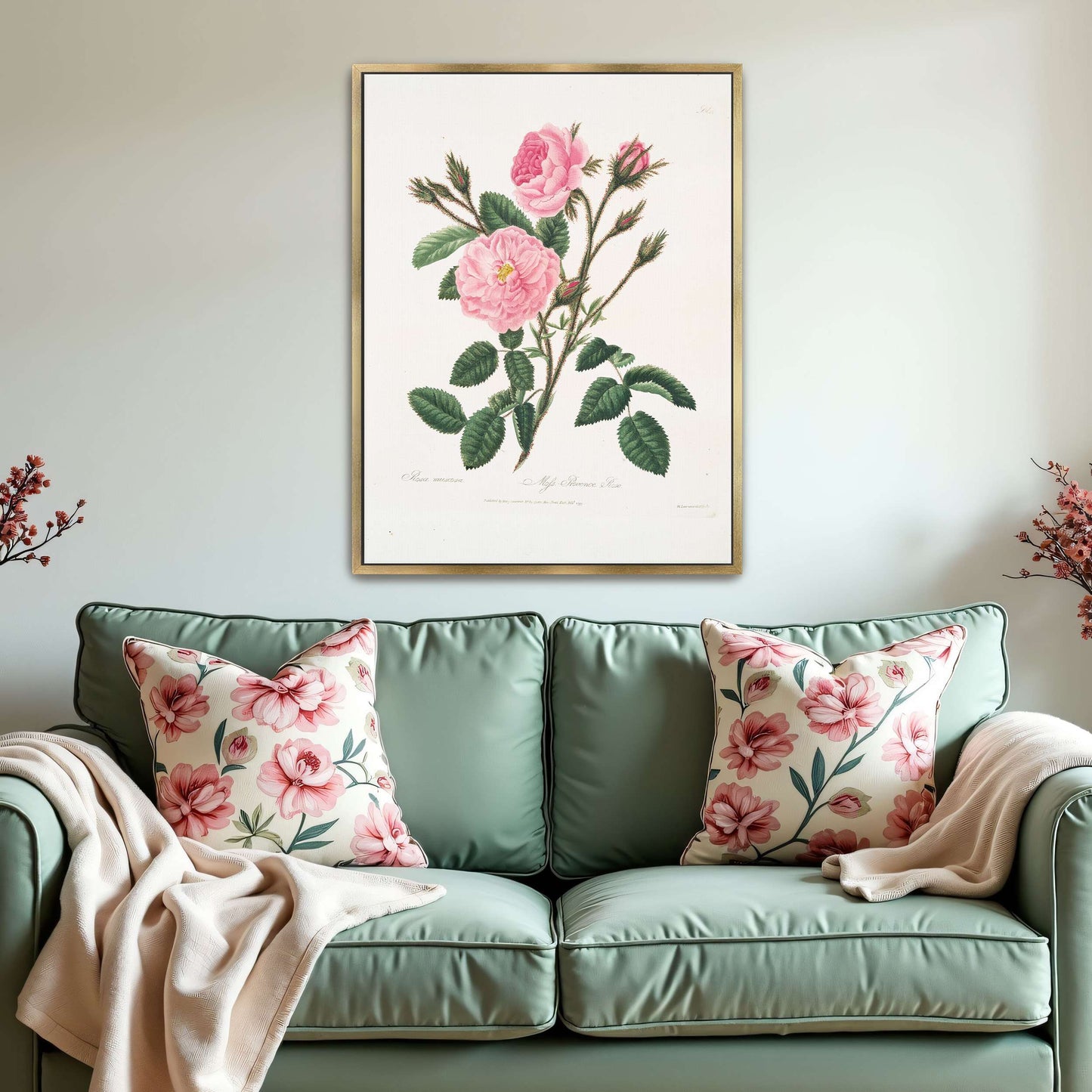 Pink rose botanical illustration by Mary Lawrance