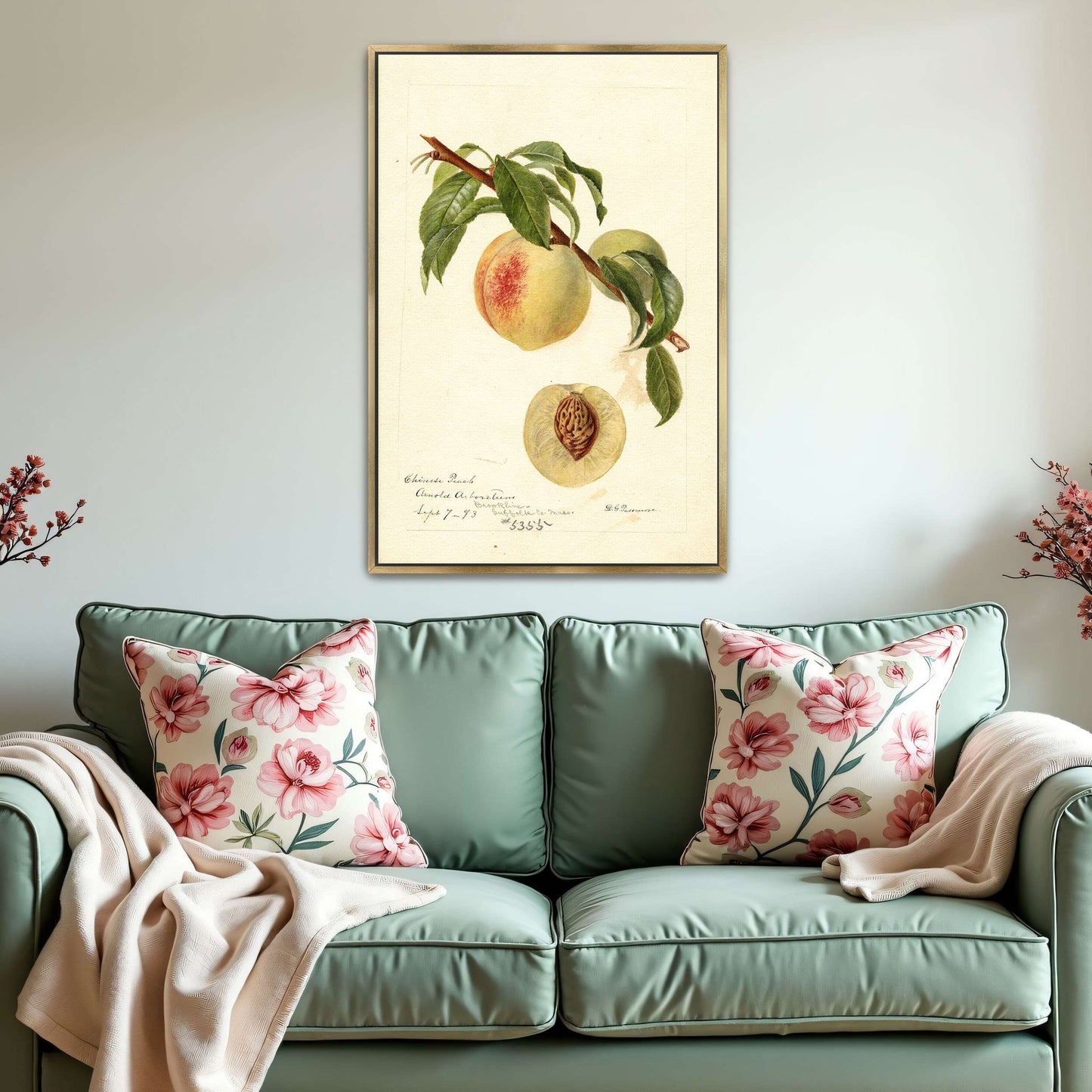 Chinese Peach Botanical Illustration by Deborah Griscom Passmore