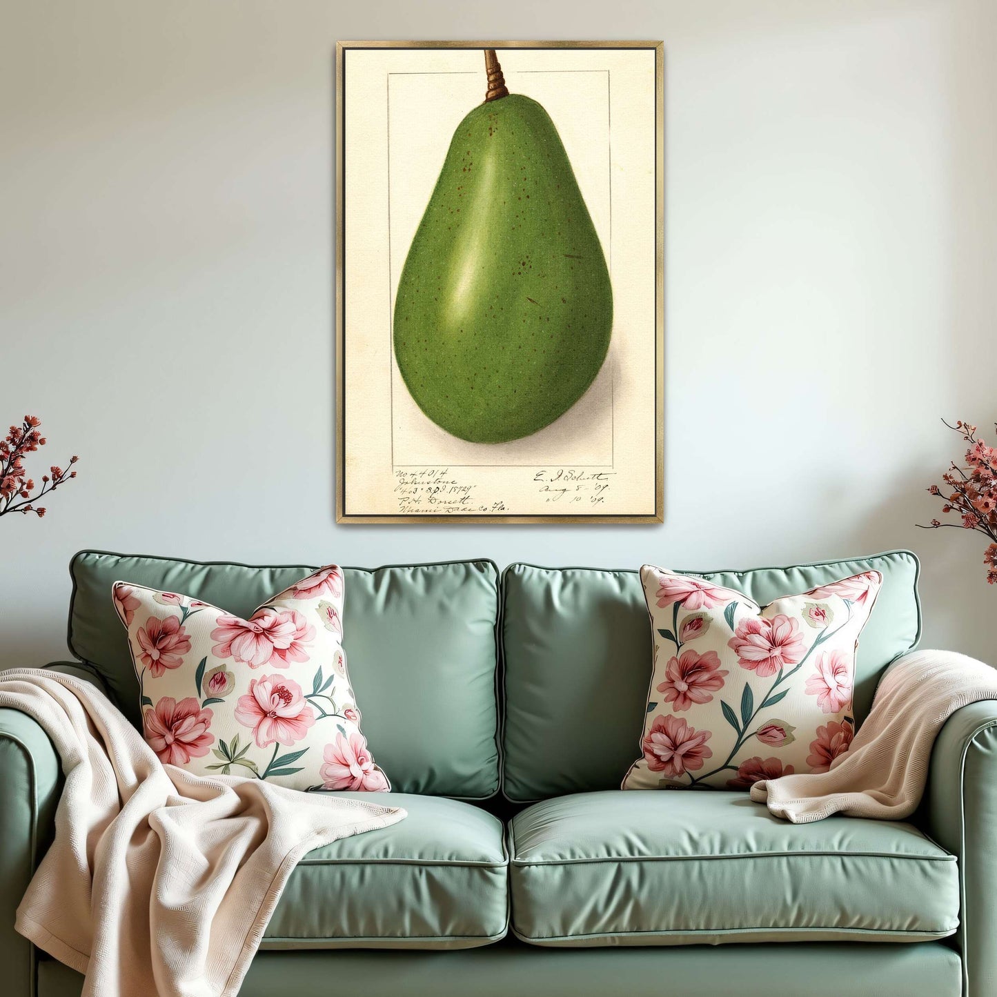 Botanical illustration of avocado by Ellen Isham Schutt