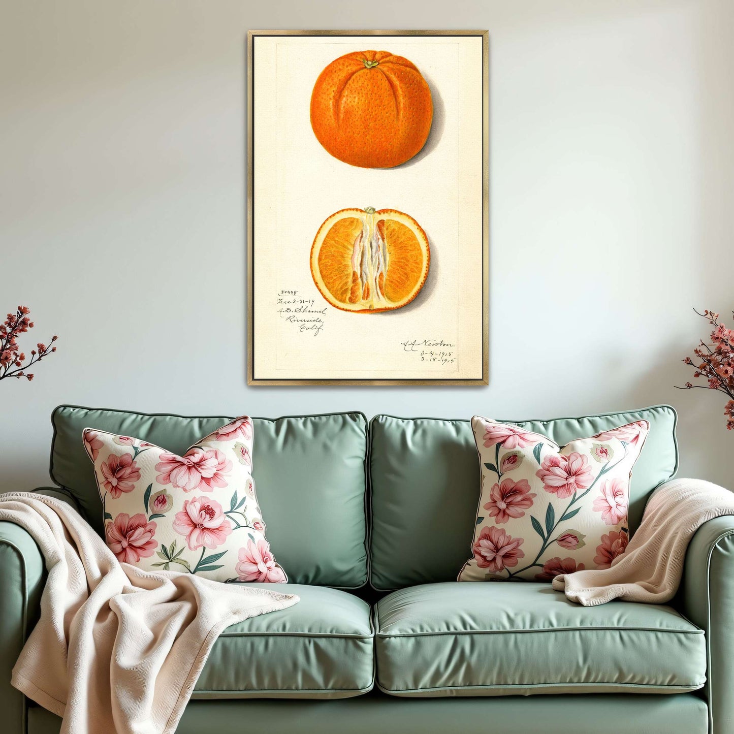Orange fruit watercolor painting by Amanda Almira Newton