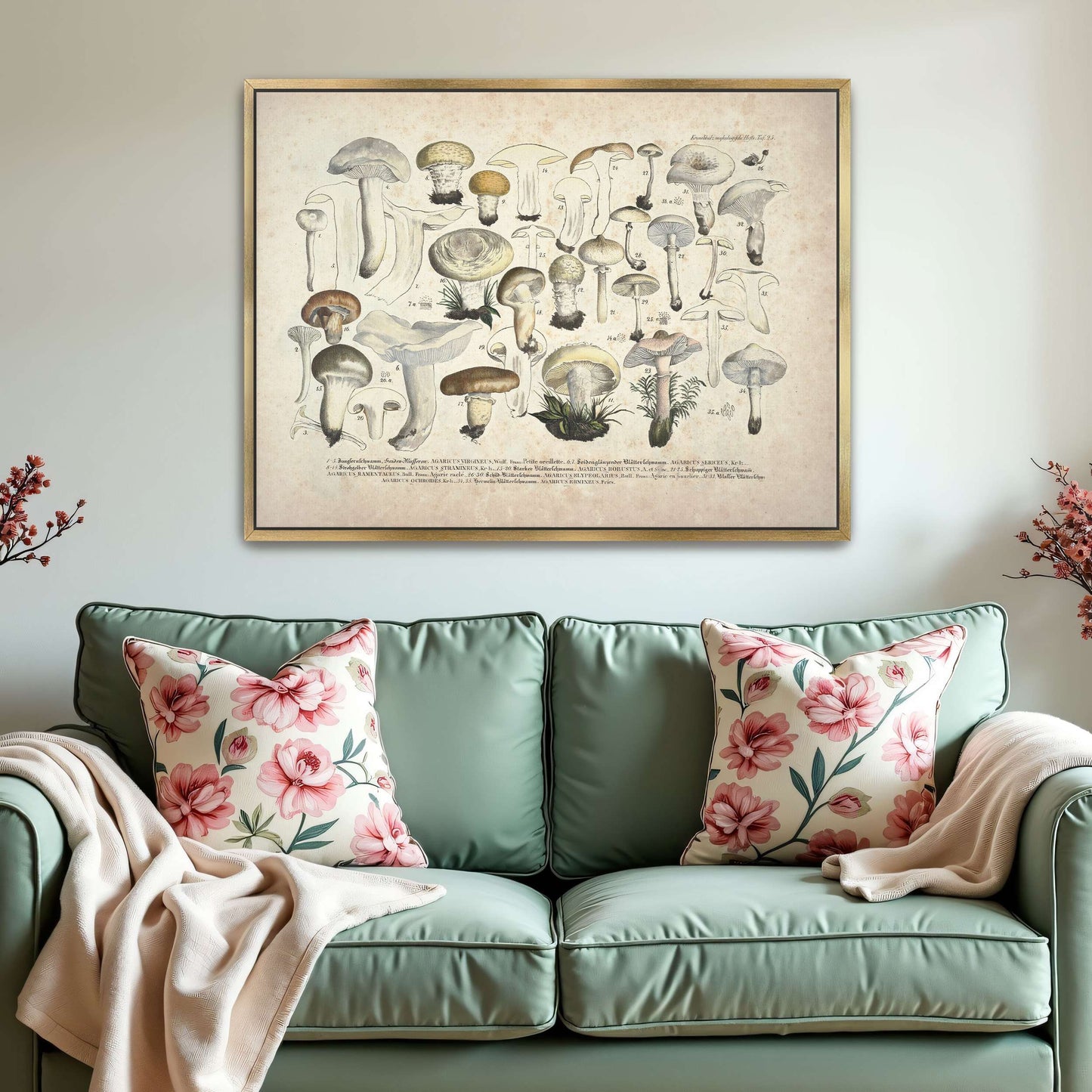 Mushroom illustration, botanical art by J. V. Krombholz