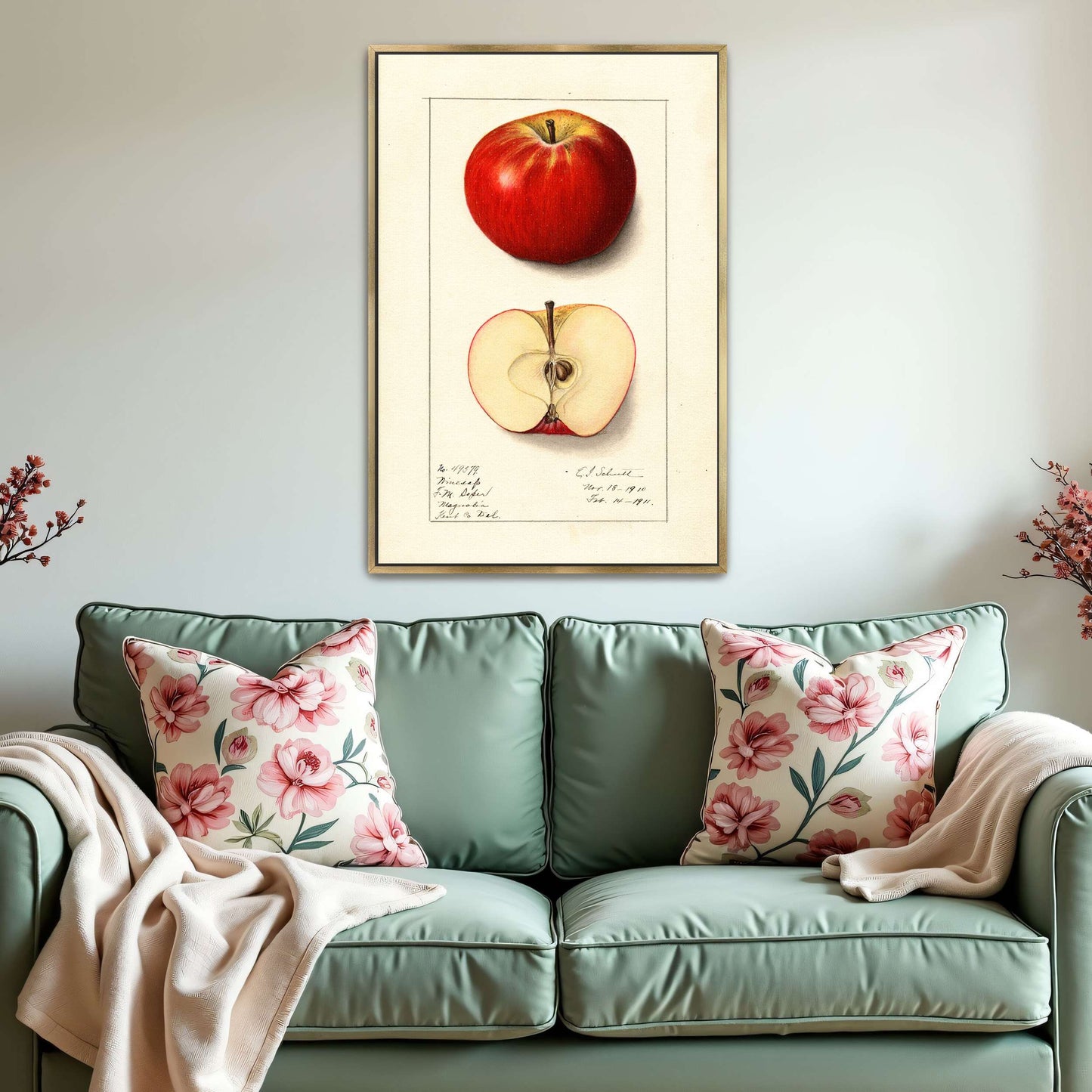 Winesap apple illustration by Ellen Isham Schutt