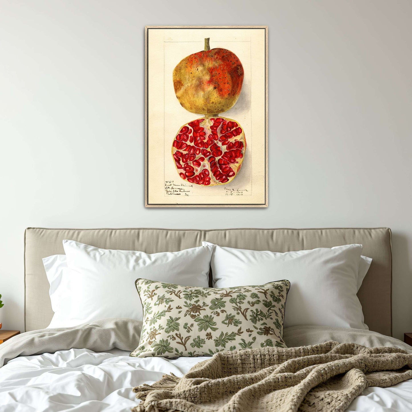 Pomegranate watercolor painting by Elsie E. Lower