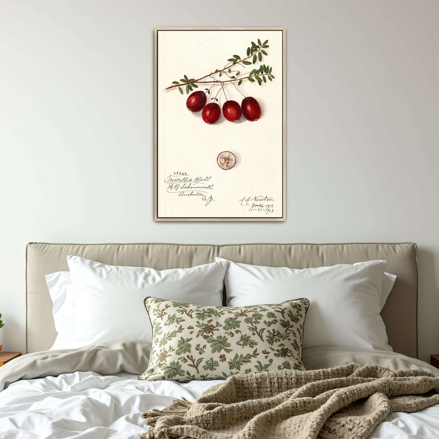 Cranberries on branch by Amanda Almira Newton