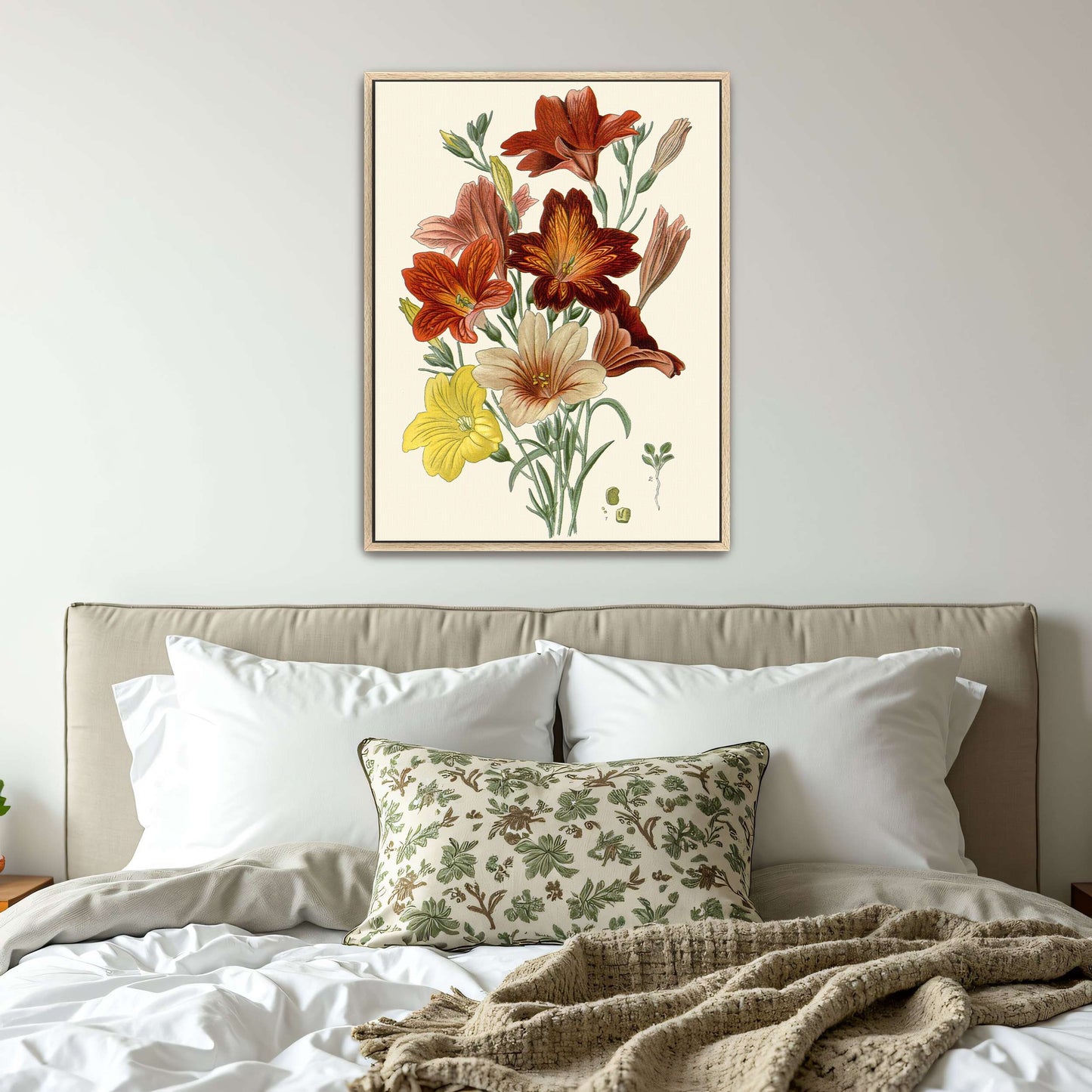 Botanical illustration of flowers by Edward Step
