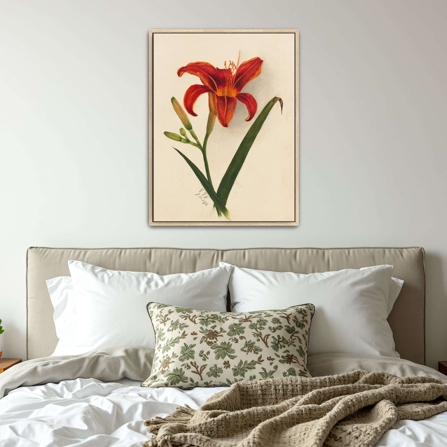 Orange daylily watercolor painting by Mary Vaux Walcott
